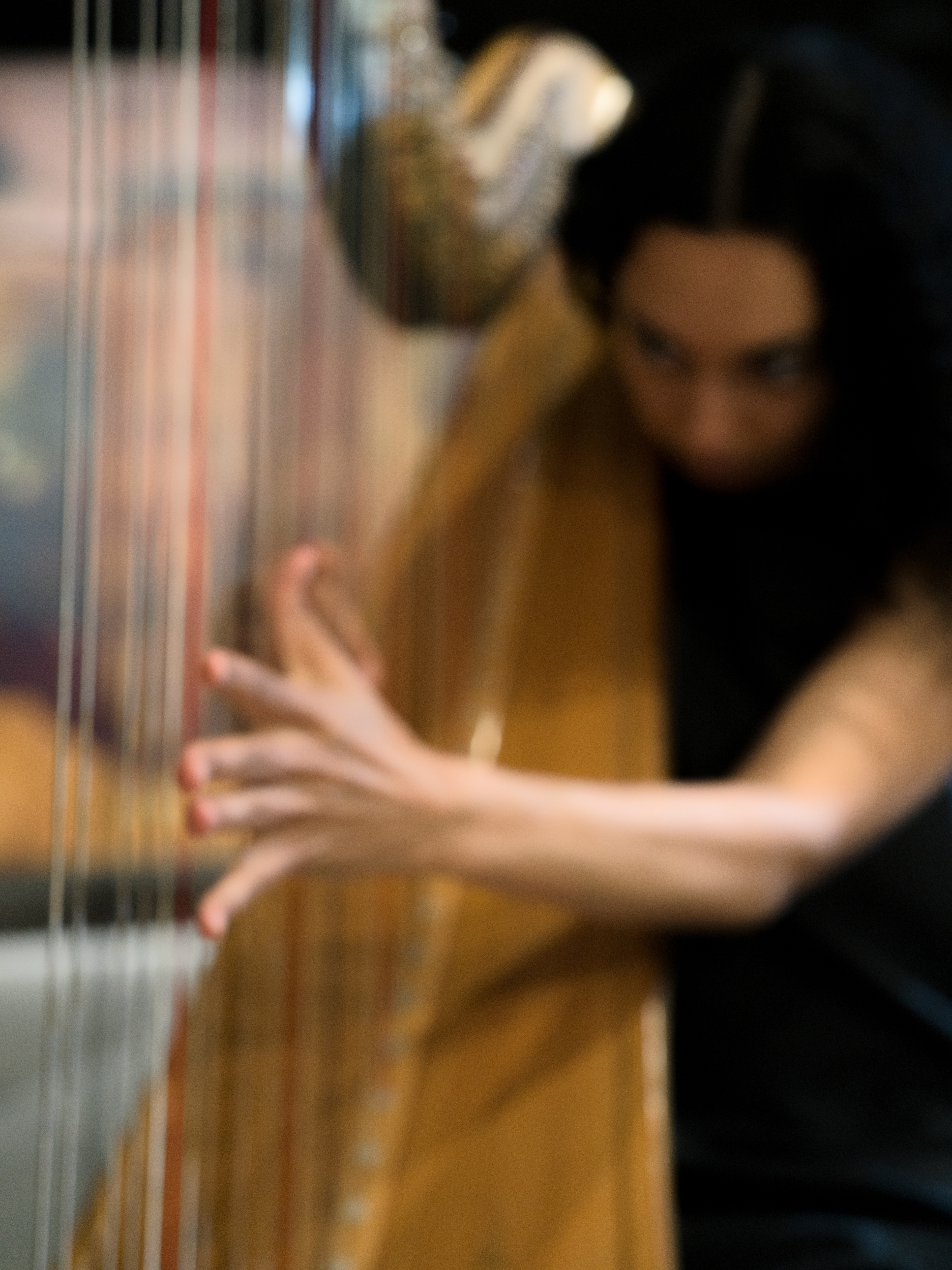 © Alexis Rodríguez Cancino. All Rights Reserved.