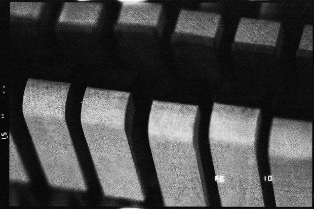 © Alexis Rodríguez Cancino. All Rights Reserved.