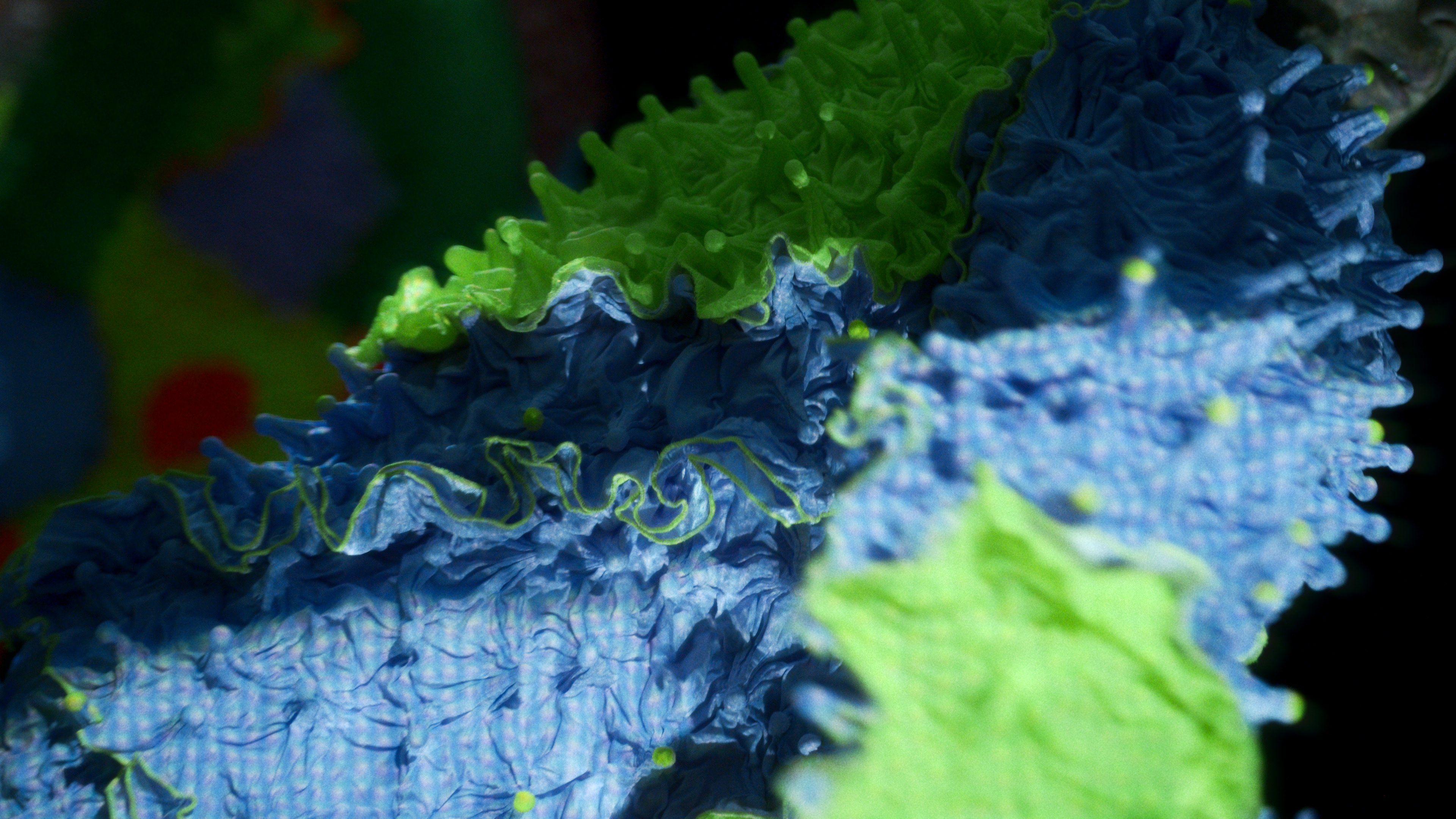 HYPER CORAL - MYKA / Betty Nansen - Edison, Copenhagen, 2025