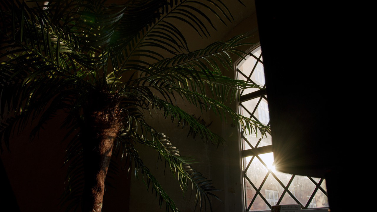 Vibrant Matter / Sophia Mage - Koncertkirken, Copenhagen, 2021