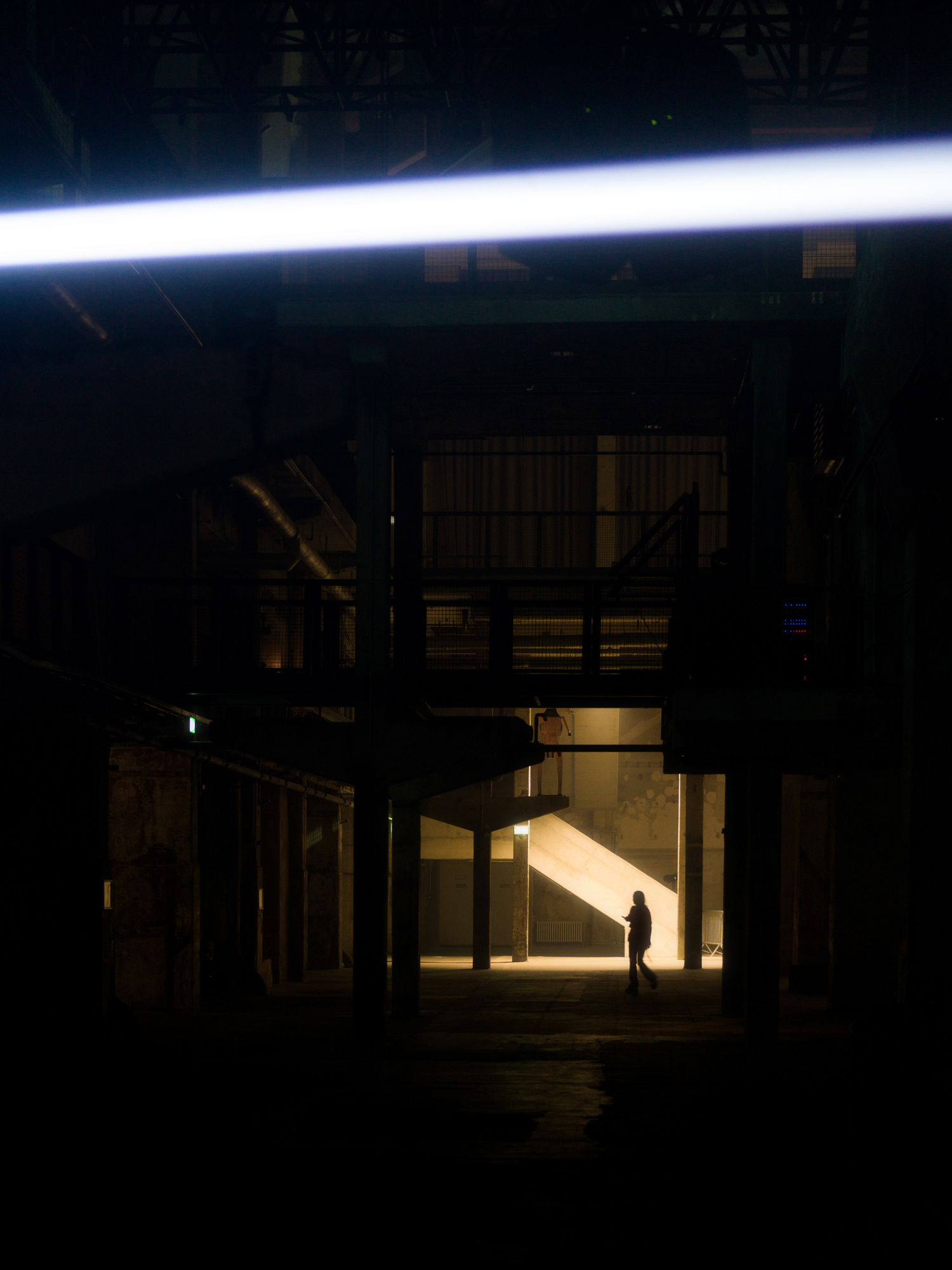 © Alexis Rodríguez Cancino. All Rights Reserved.