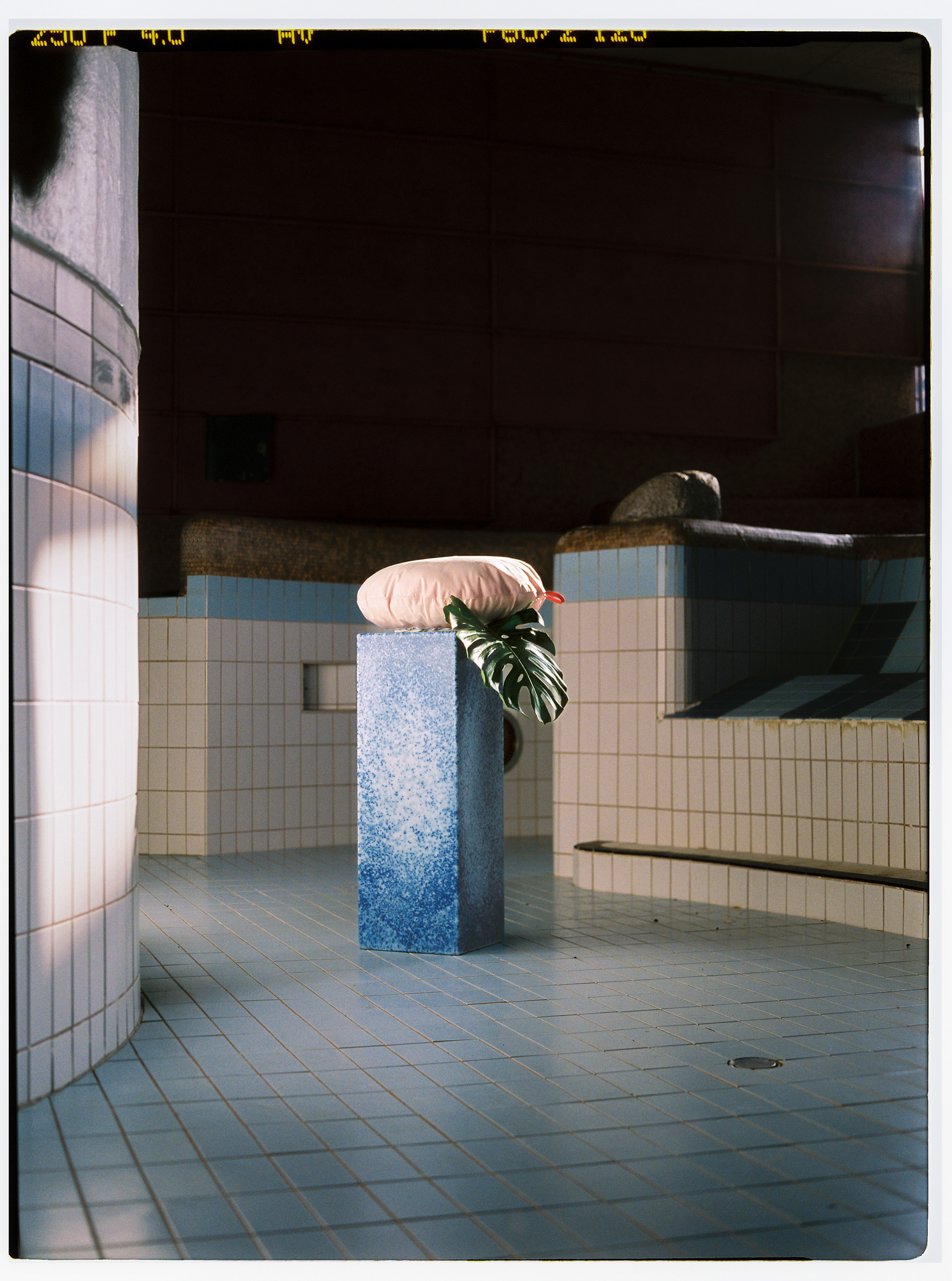 © Alexis Rodríguez Cancino. All Rights Reserved.