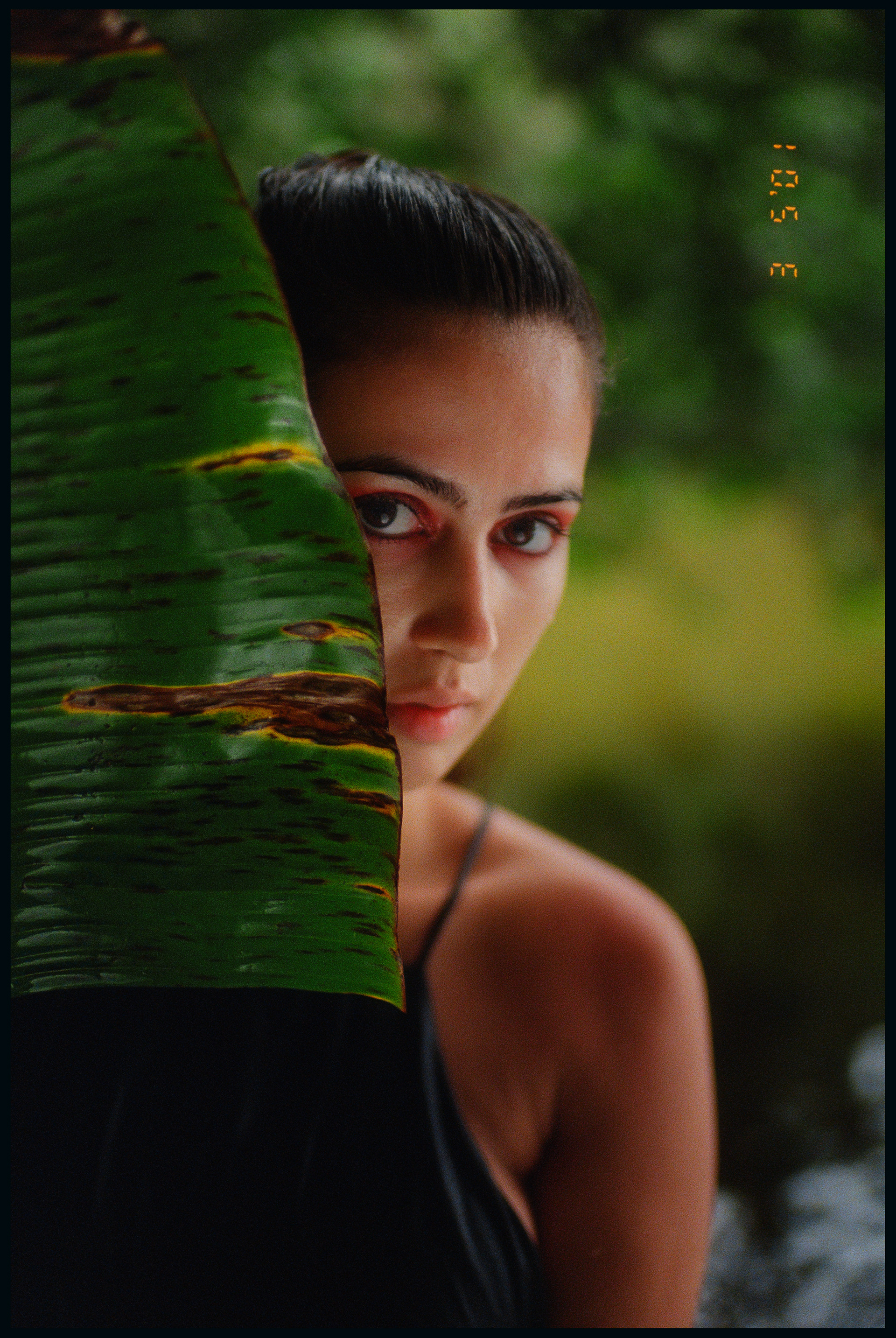 © Alexis Rodríguez Cancino. All Rights Reserved.