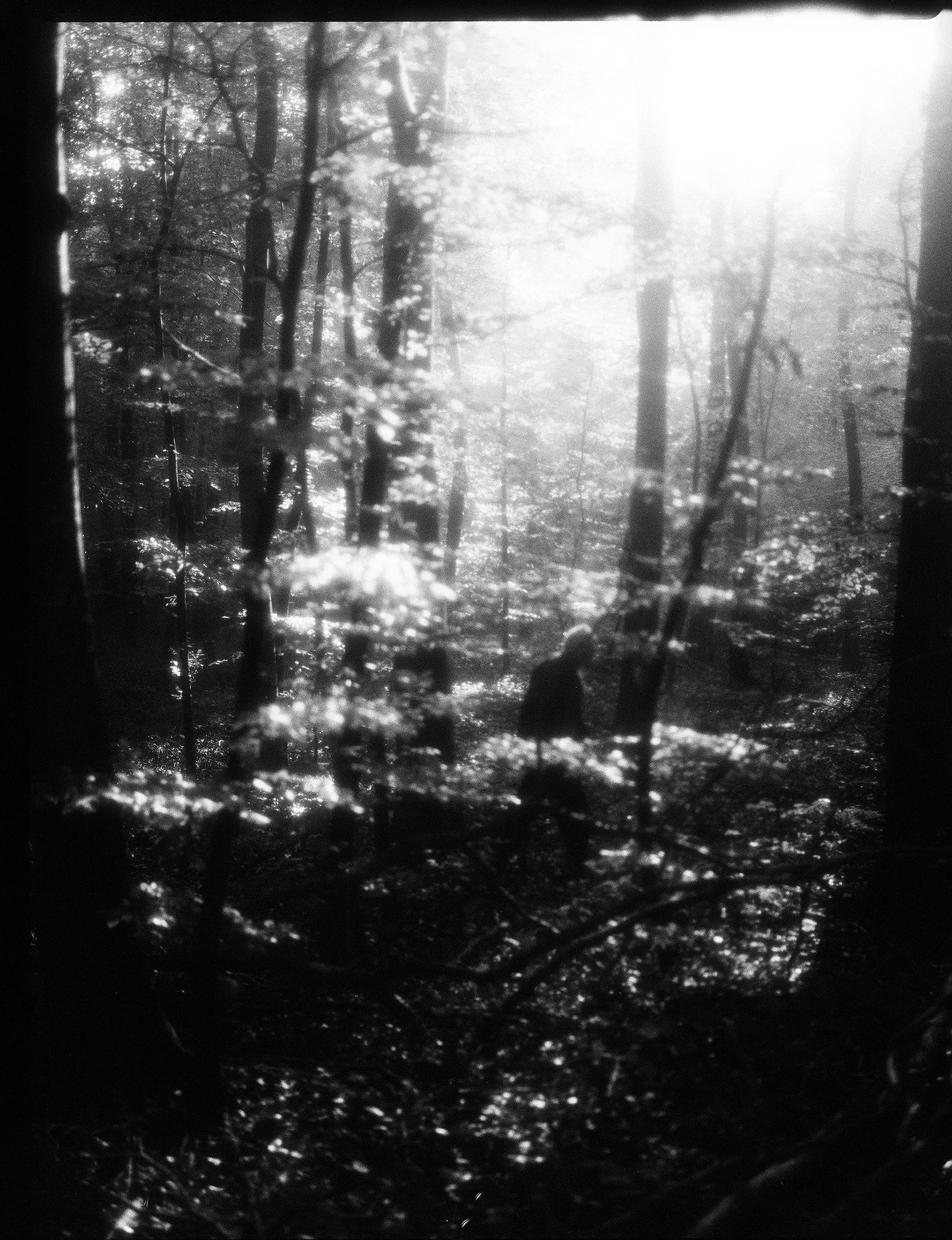 © Alexis Rodríguez Cancino. All Rights Reserved.