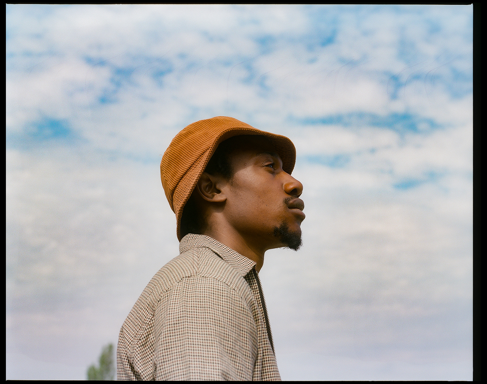 © Alexis Rodríguez Cancino. All Rights Reserved.