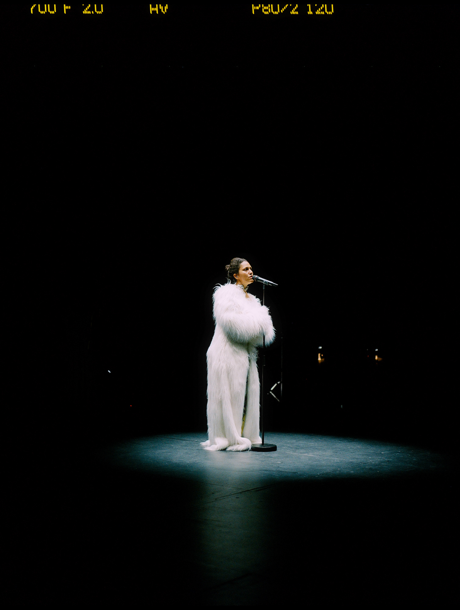 © Alexis Rodríguez Cancino. All Rights Reserved.