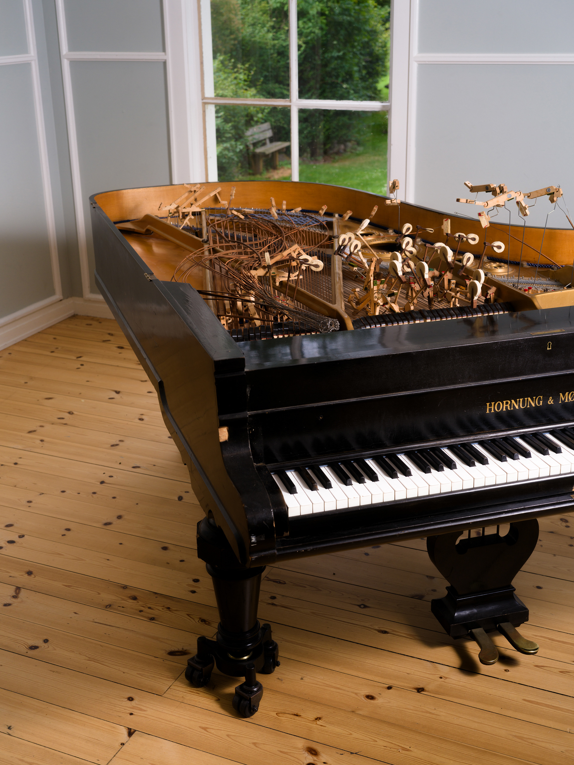 © Alexis Rodríguez Cancino. All Rights Reserved.