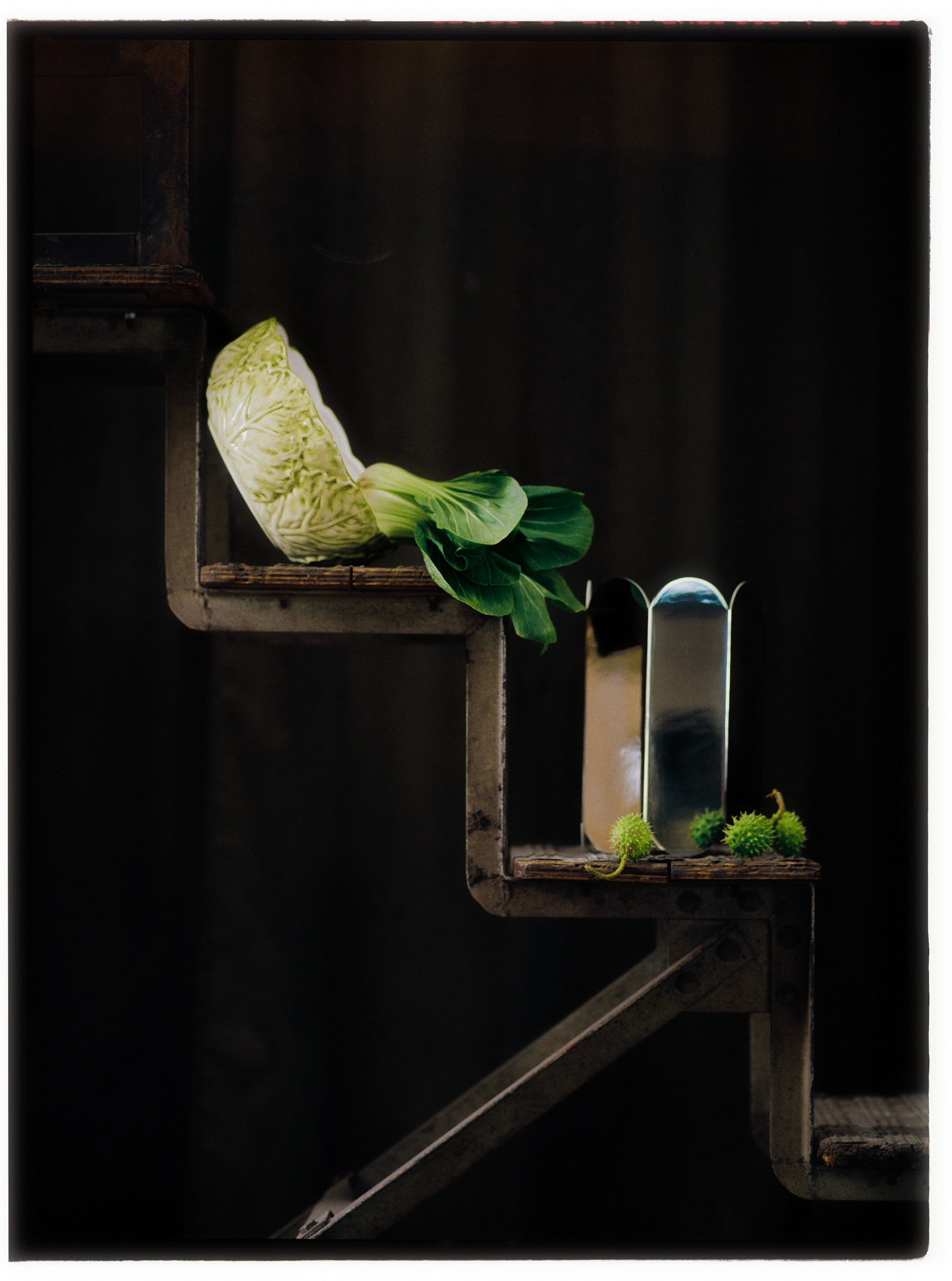 © Alexis Rodríguez Cancino. All Rights Reserved.