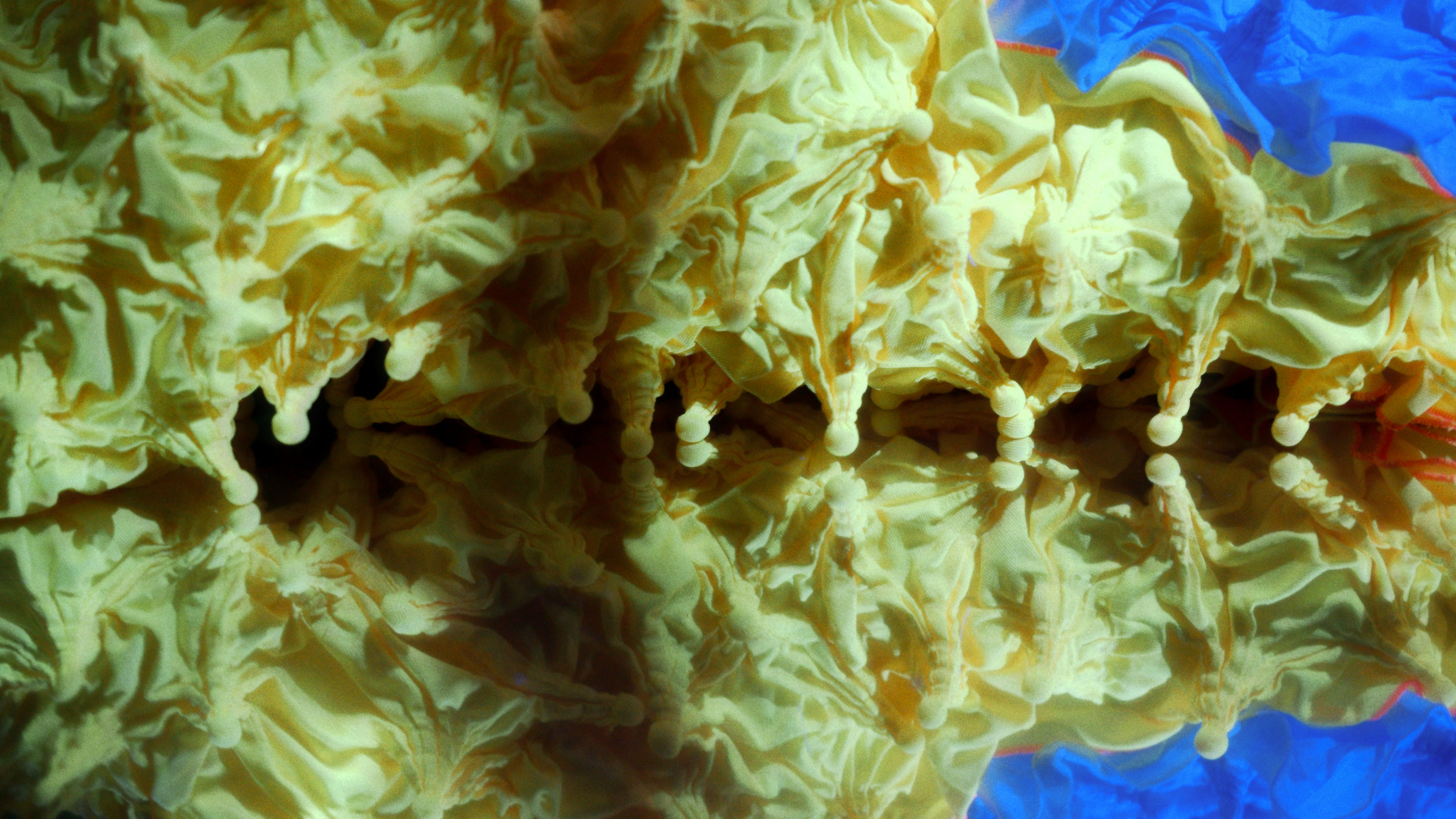 HYPER CORAL - MYKA / Betty Nansen - Edison, Copenhagen, 2025