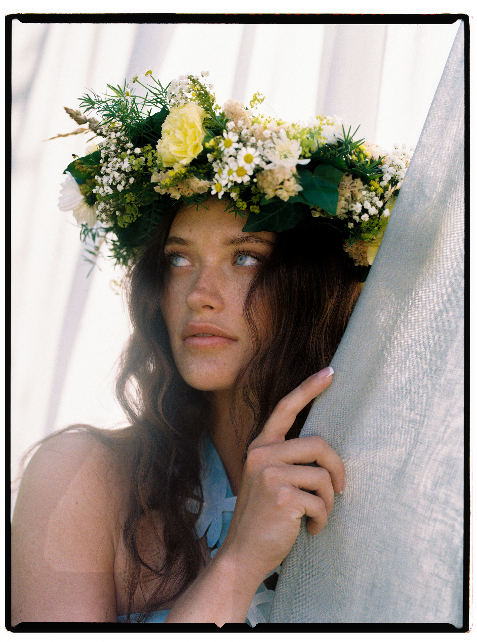 © Alexis Rodríguez Cancino. All Rights Reserved.