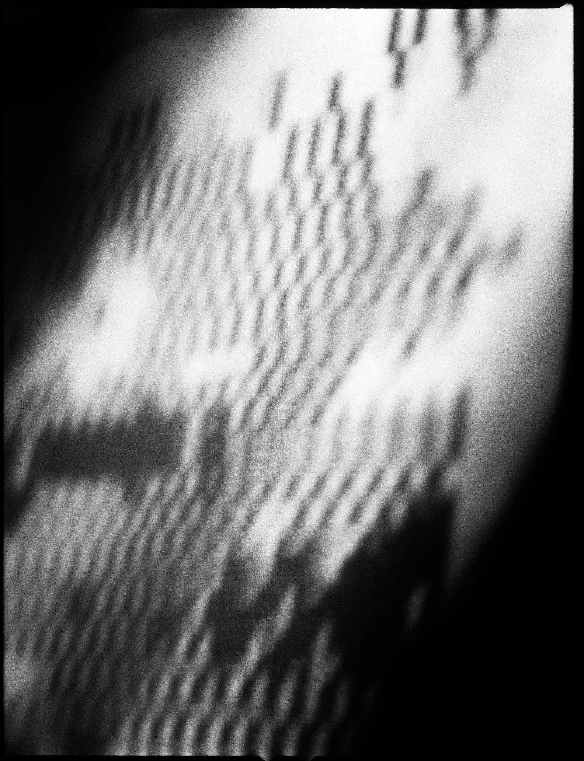 © Alexis Rodríguez Cancino. All Rights Reserved.