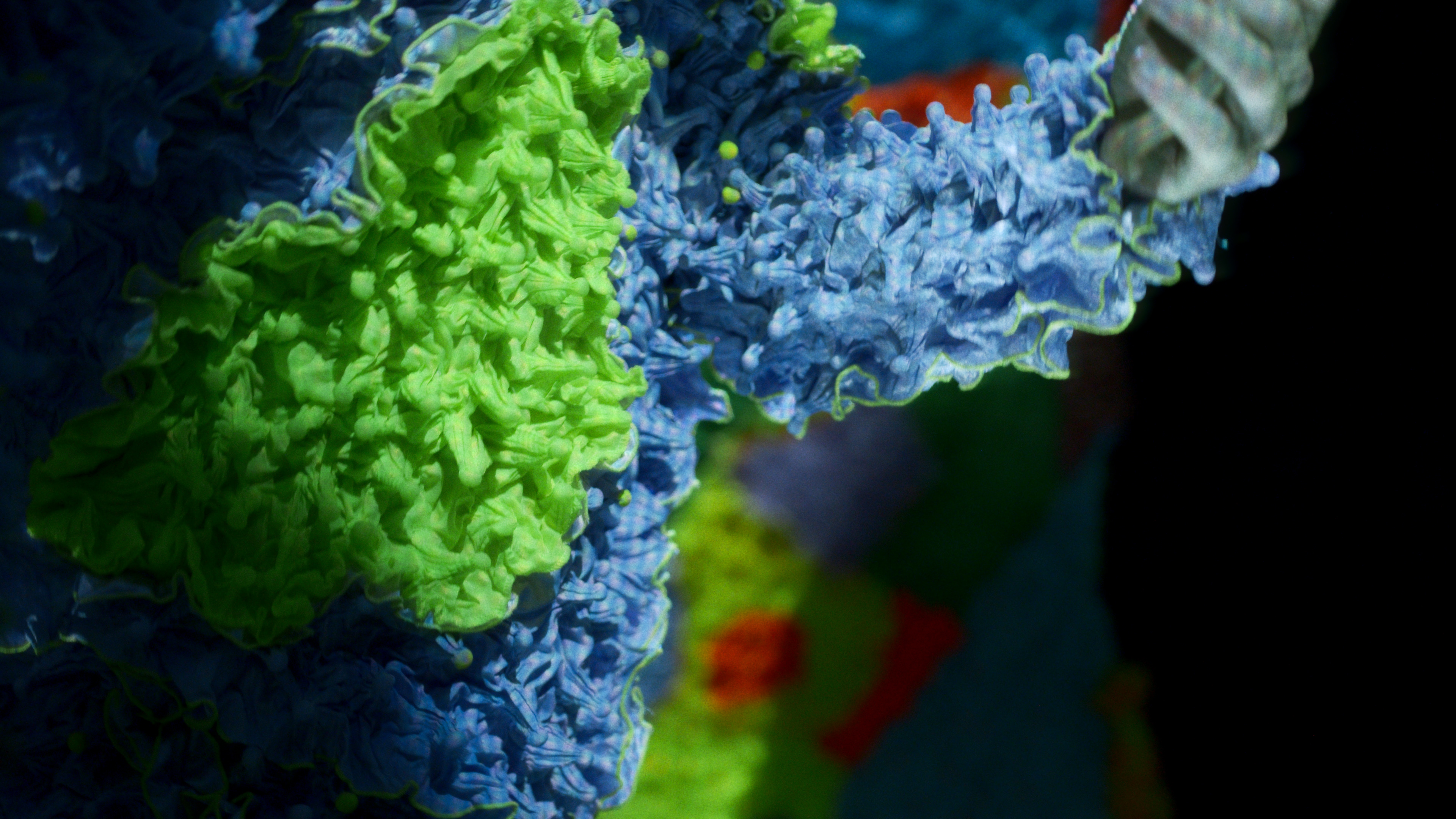 HYPER CORAL - MYKA / Betty Nansen - Edison, Copenhagen, 2025