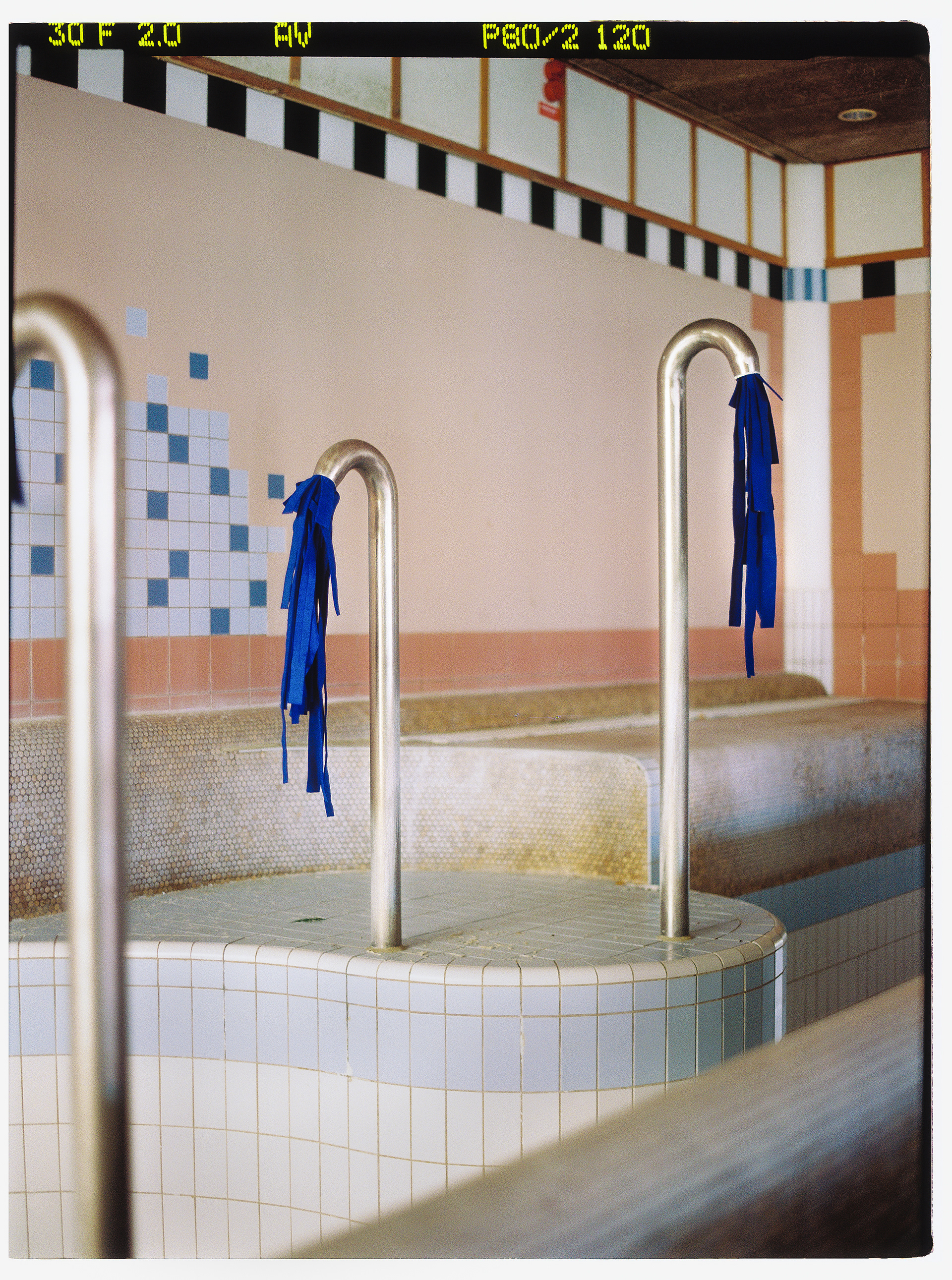 © Alexis Rodríguez Cancino. All Rights Reserved.