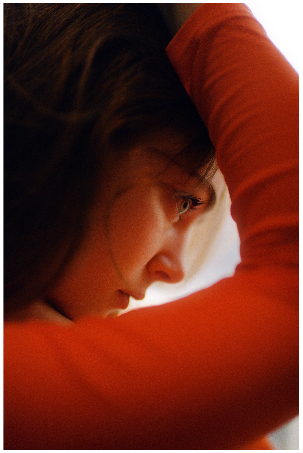 © Alexis Rodríguez Cancino. All Rights Reserved.