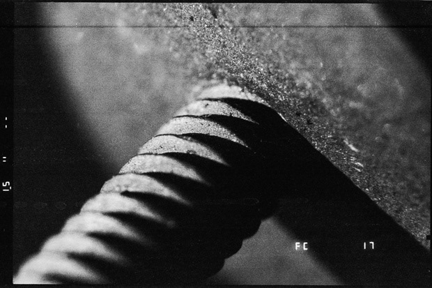 © Alexis Rodríguez Cancino. All Rights Reserved.