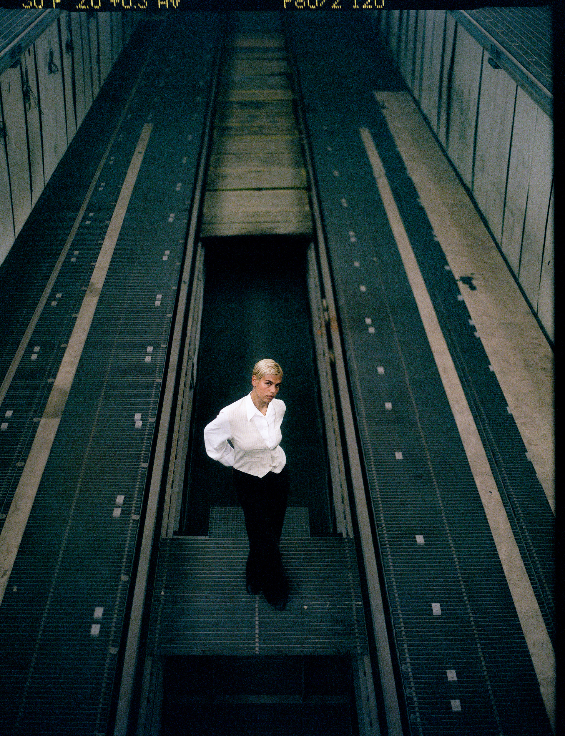 © Alexis Rodríguez Cancino. All Rights Reserved.