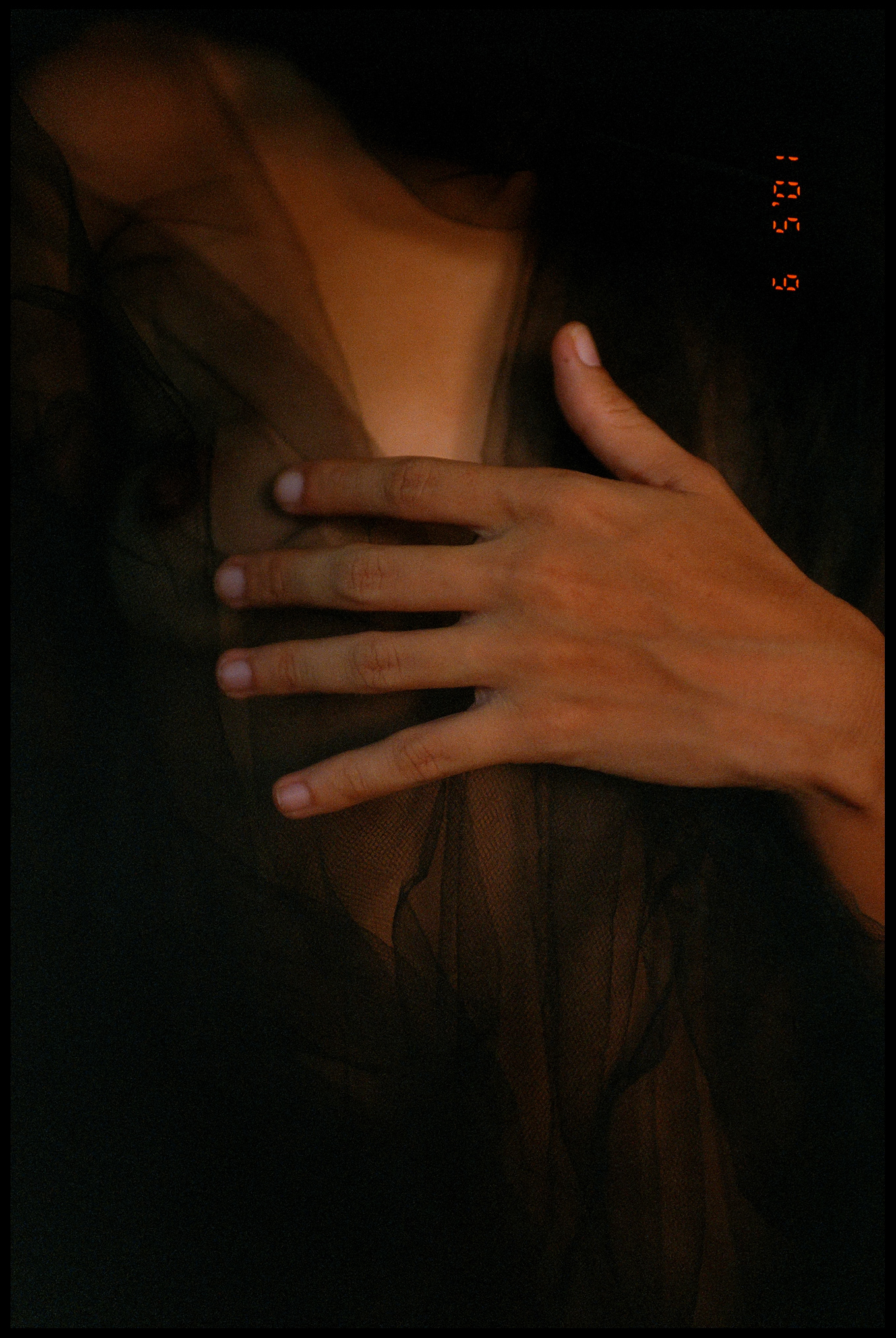 © Alexis Rodríguez Cancino. All Rights Reserved.