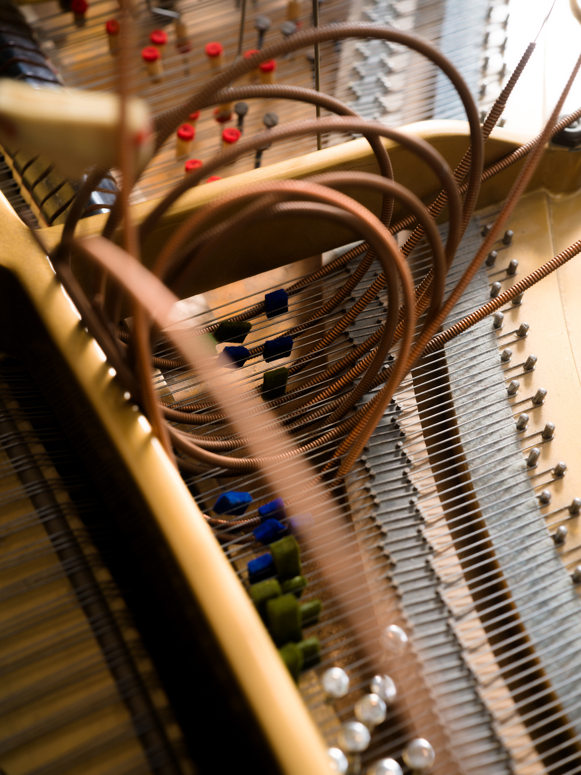 © Alexis Rodríguez Cancino. All Rights Reserved.