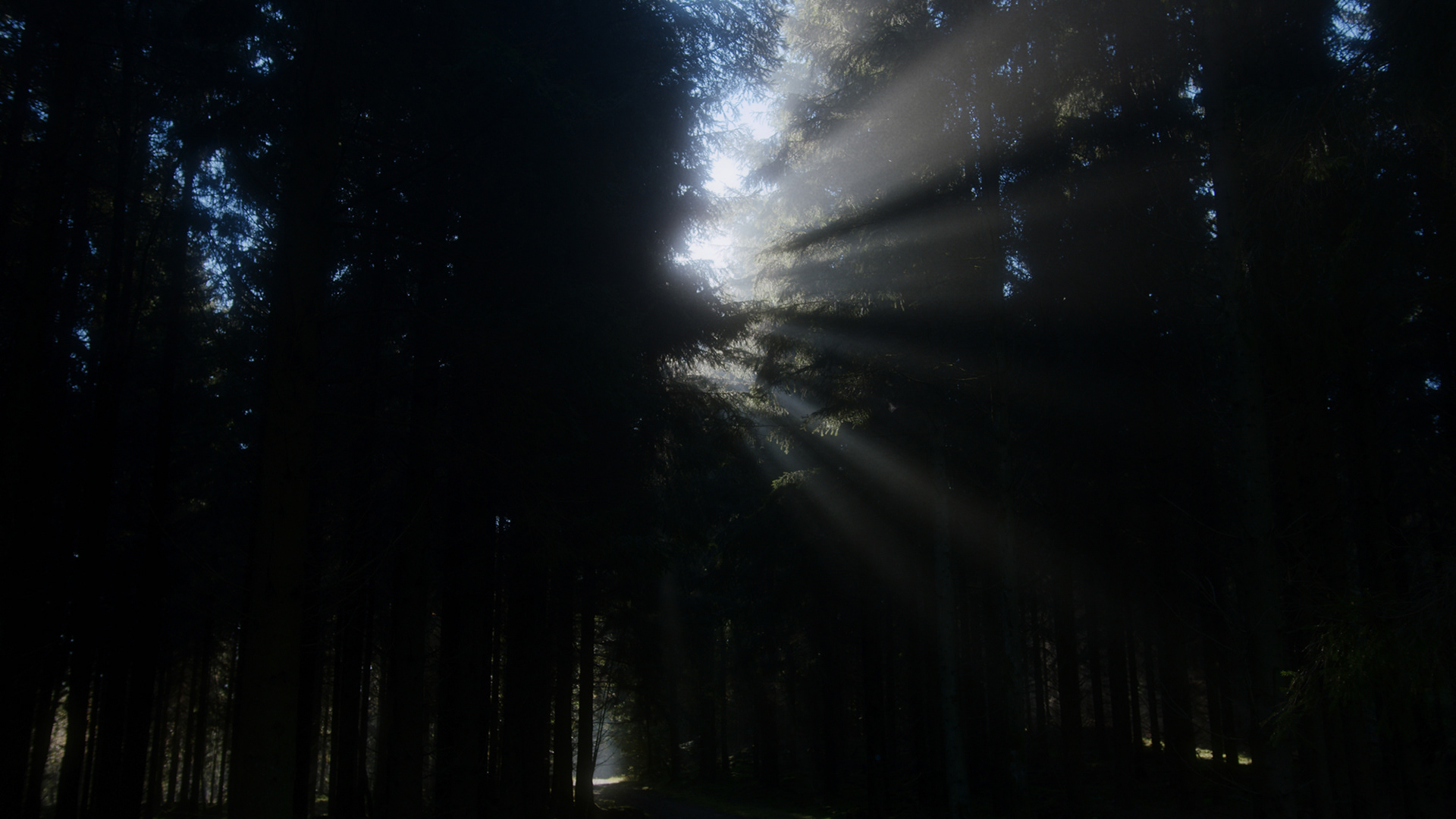 Native Instruments / Sebastian Mullaert - Röstånga, 2021