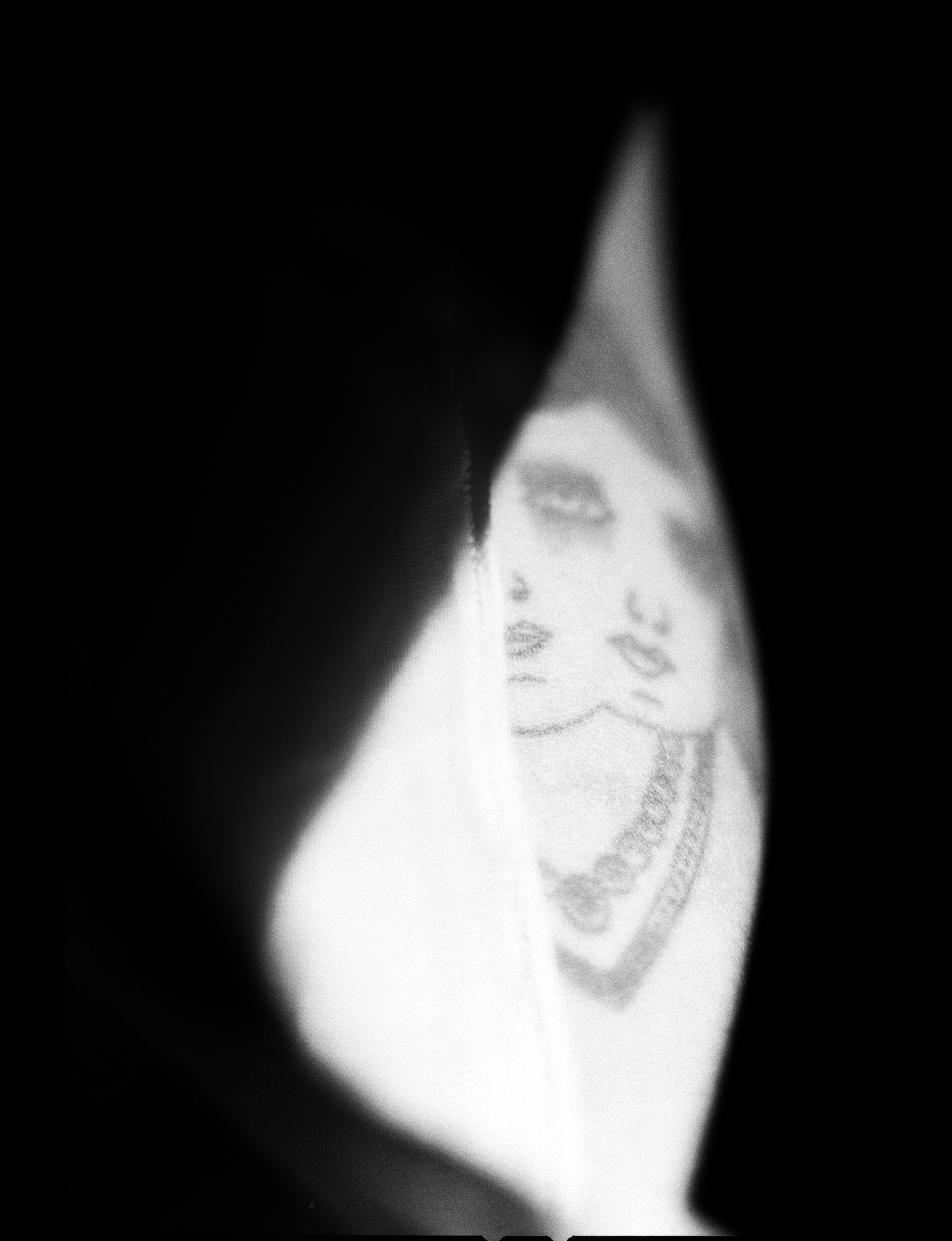 © Alexis Rodríguez Cancino. All Rights Reserved.