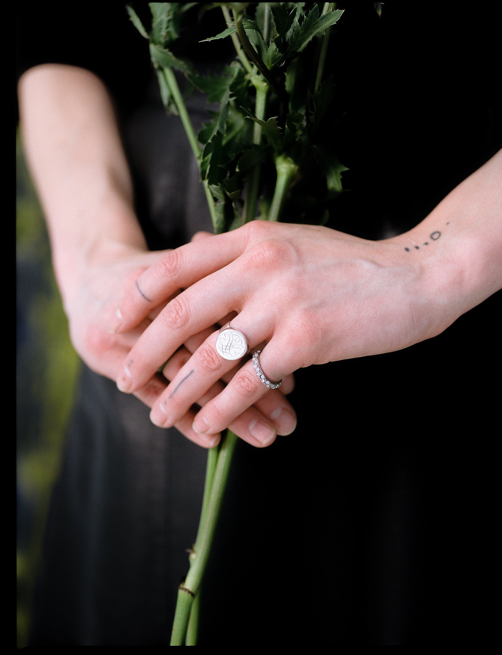 © Alexis Rodríguez Cancino. All Rights Reserved.