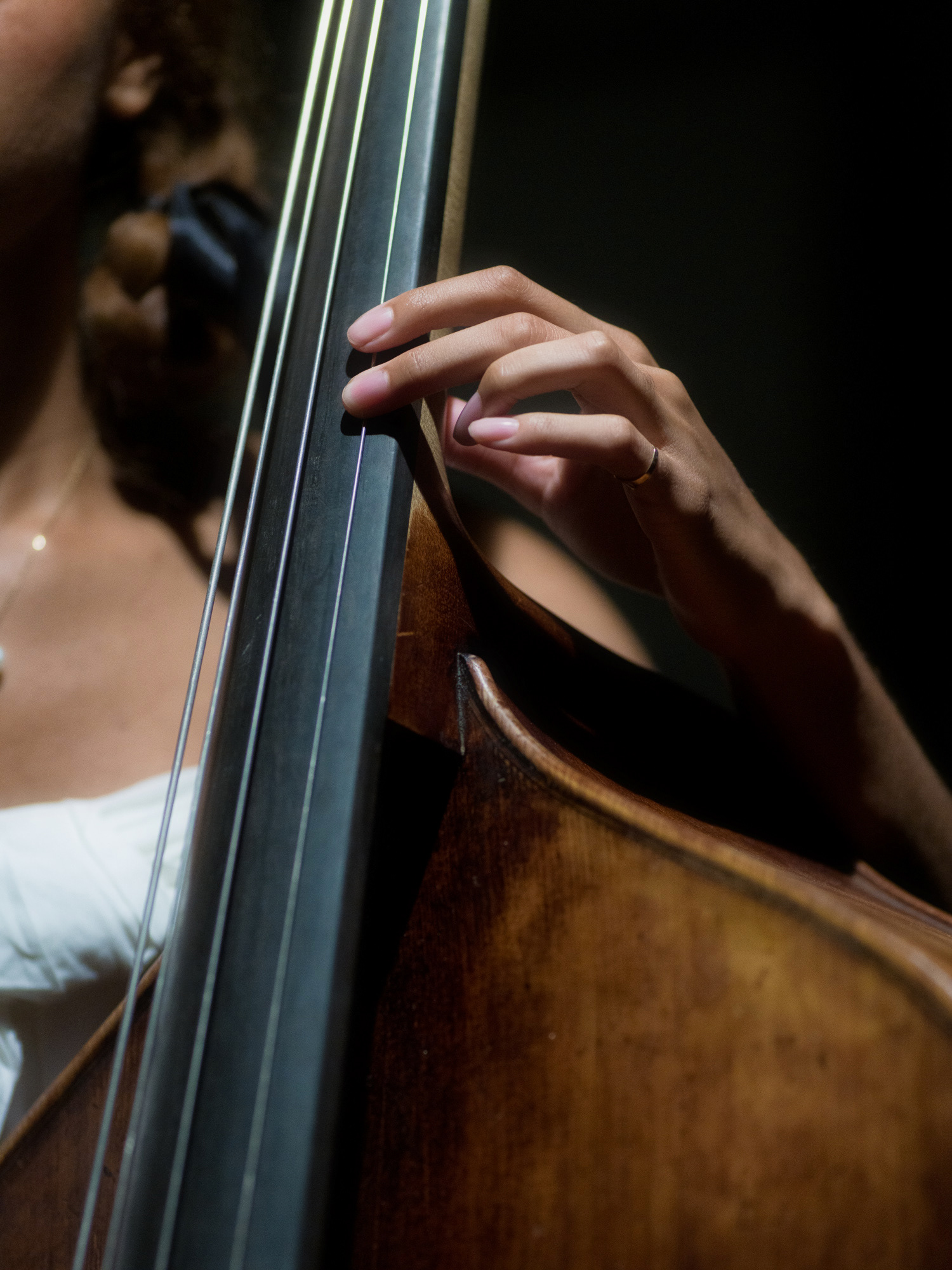 © Alexis Rodríguez Cancino. All Rights Reserved.