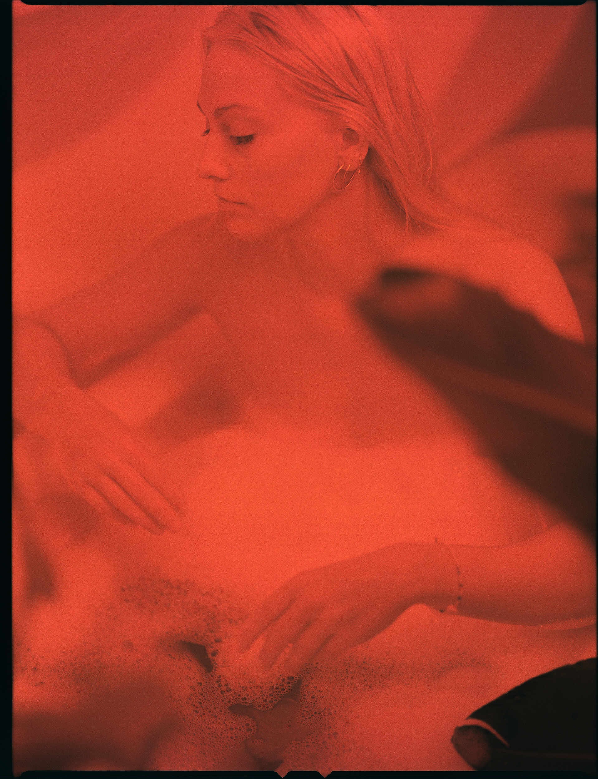 © Alexis Rodríguez Cancino. All Rights Reserved.