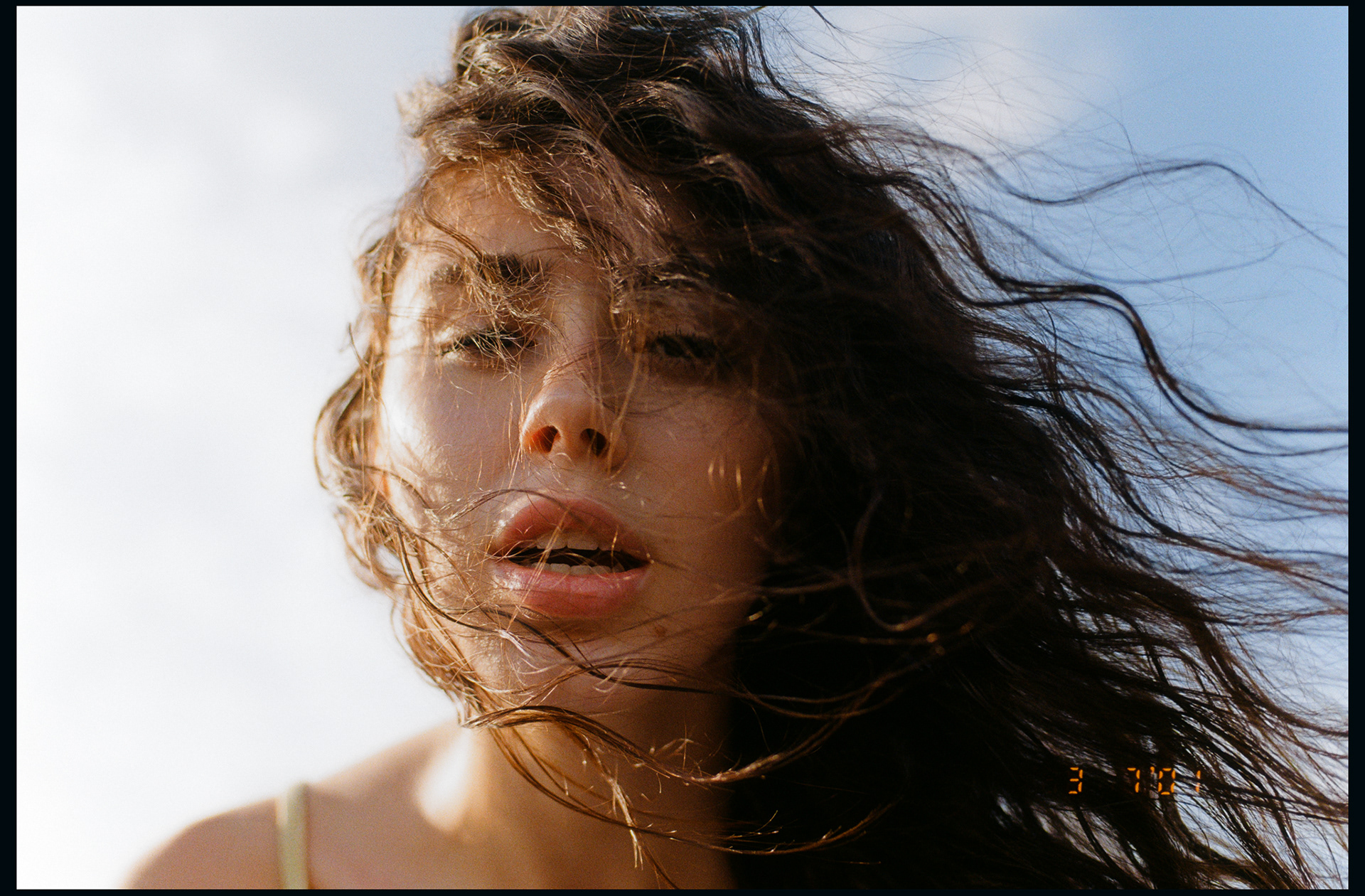 © Alexis Rodríguez Cancino. All Rights Reserved.