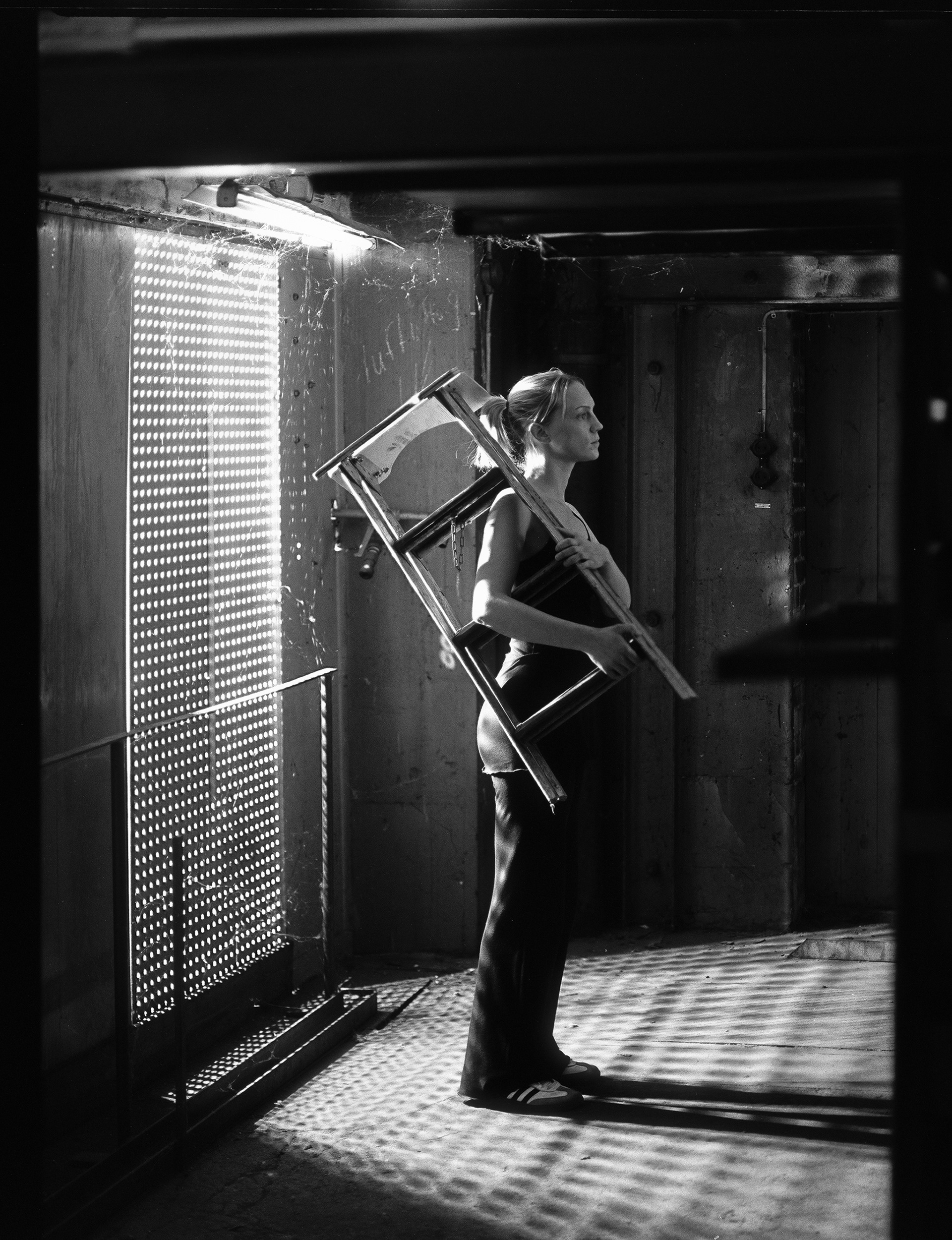 © Alexis Rodríguez Cancino. All Rights Reserved.