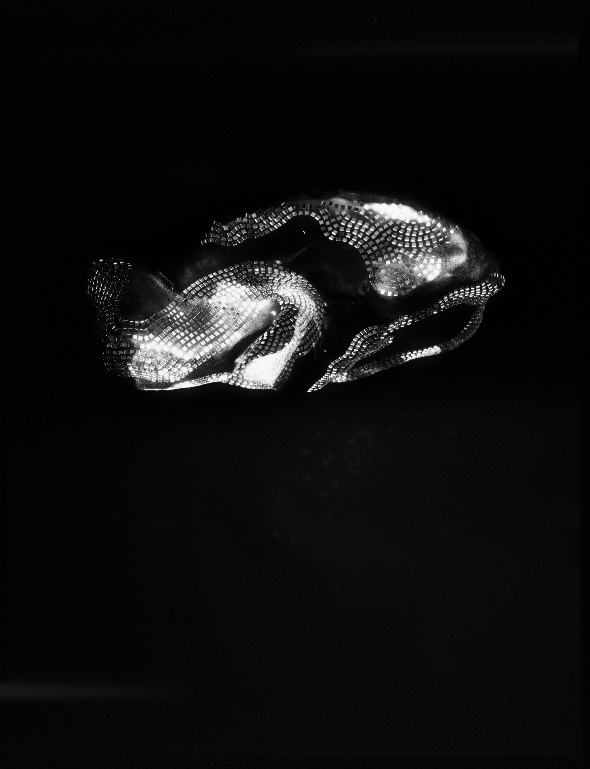 © Alexis Rodríguez Cancino. All Rights Reserved.