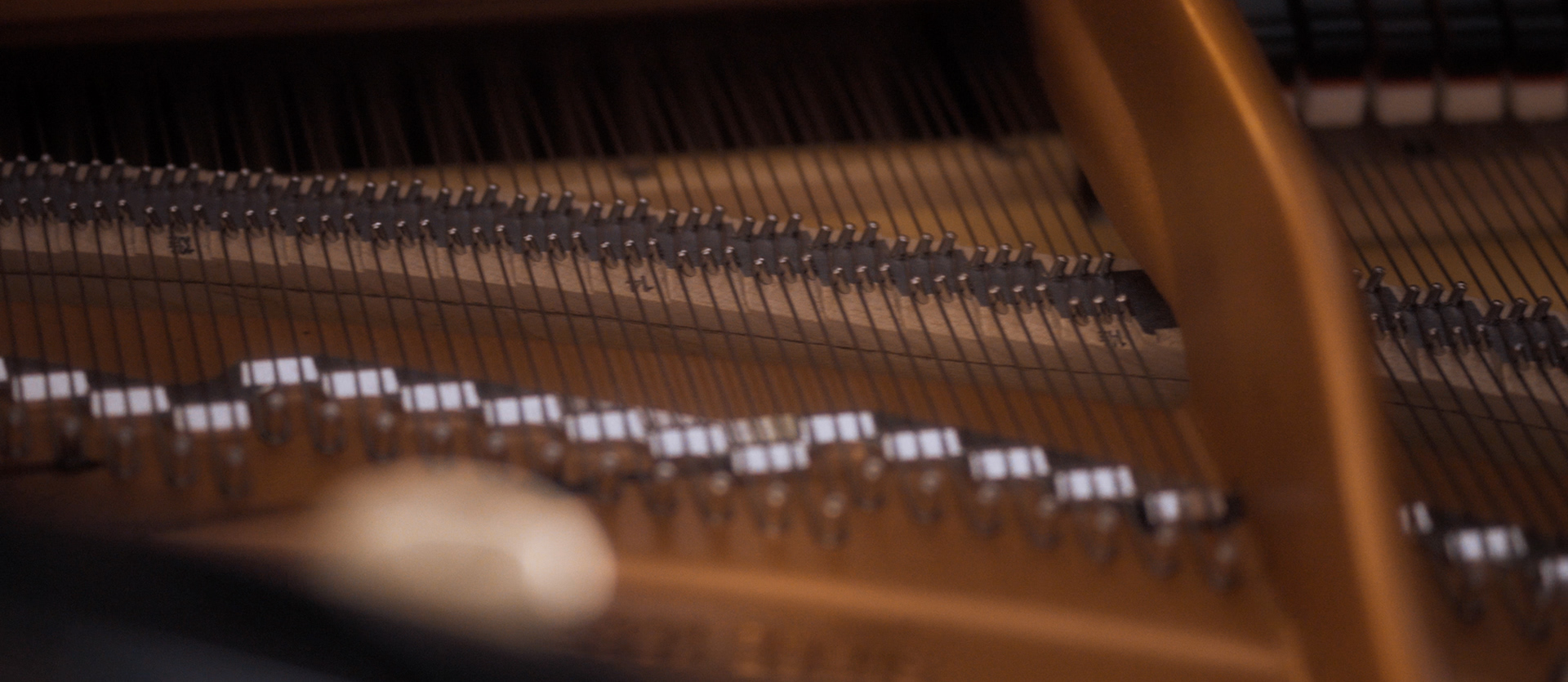 Guy Vandromme / in-discourse - Belgium, 2019