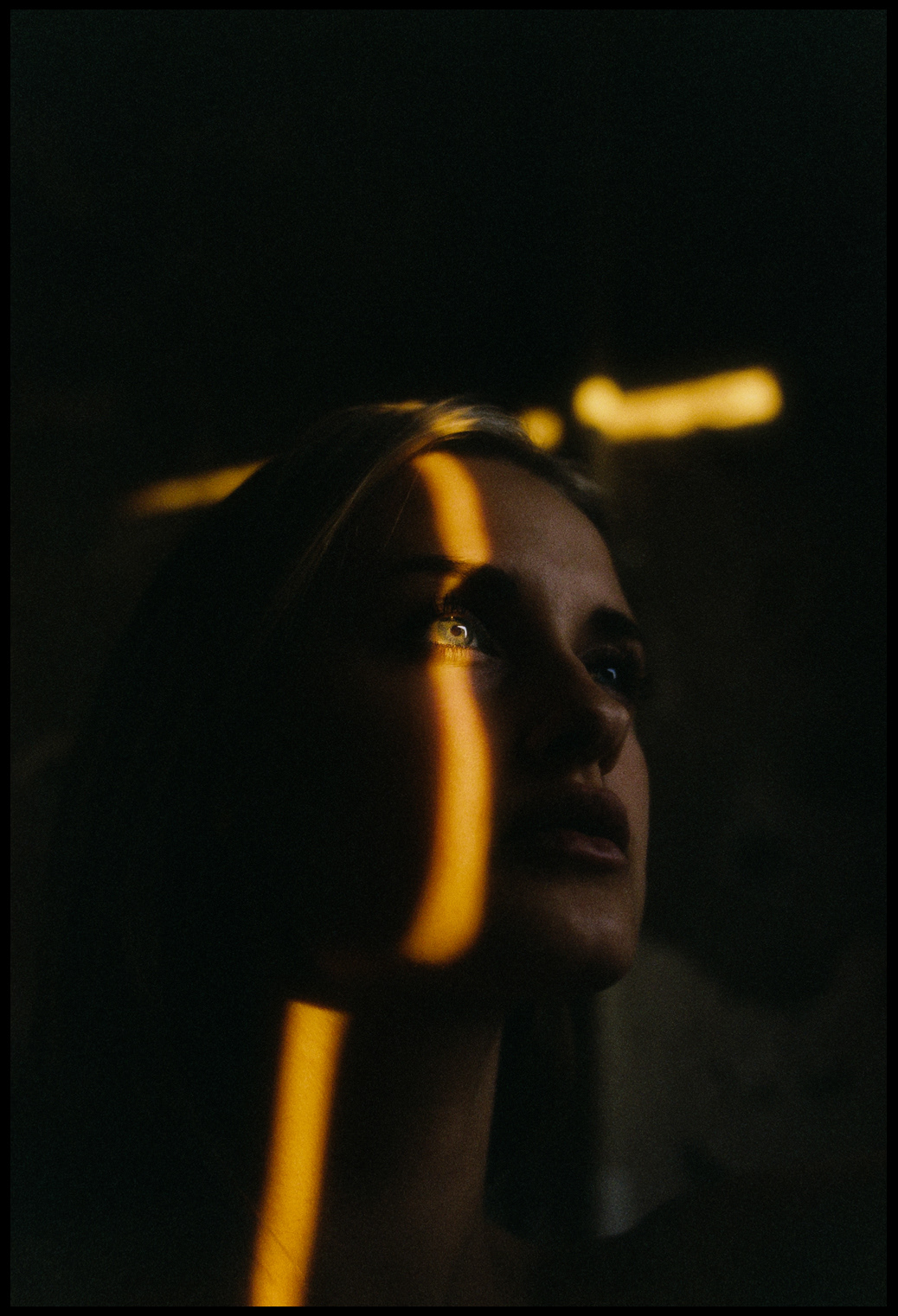 © Alexis Rodríguez Cancino. All Rights Reserved.