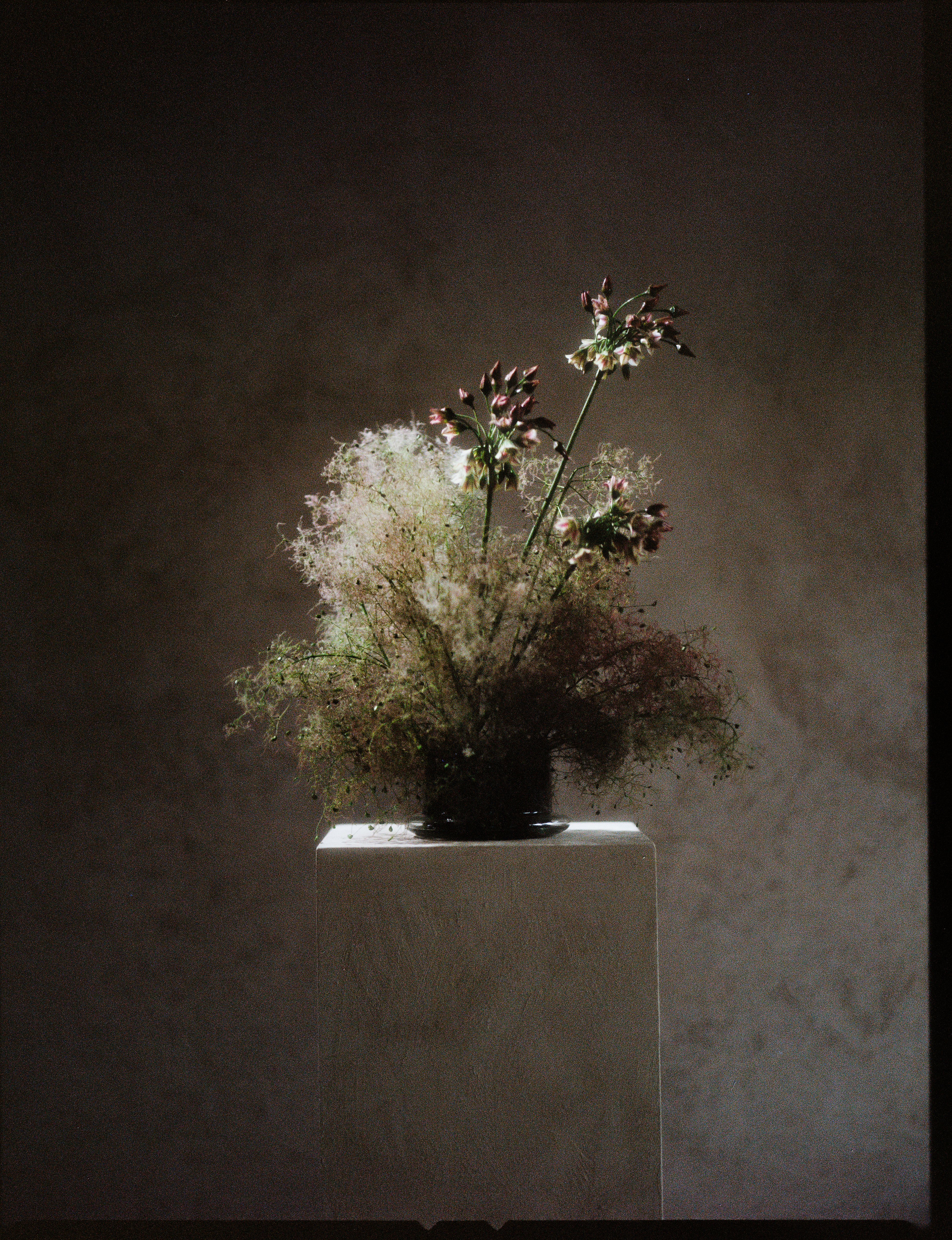 © Alexis Rodríguez Cancino. All Rights Reserved.