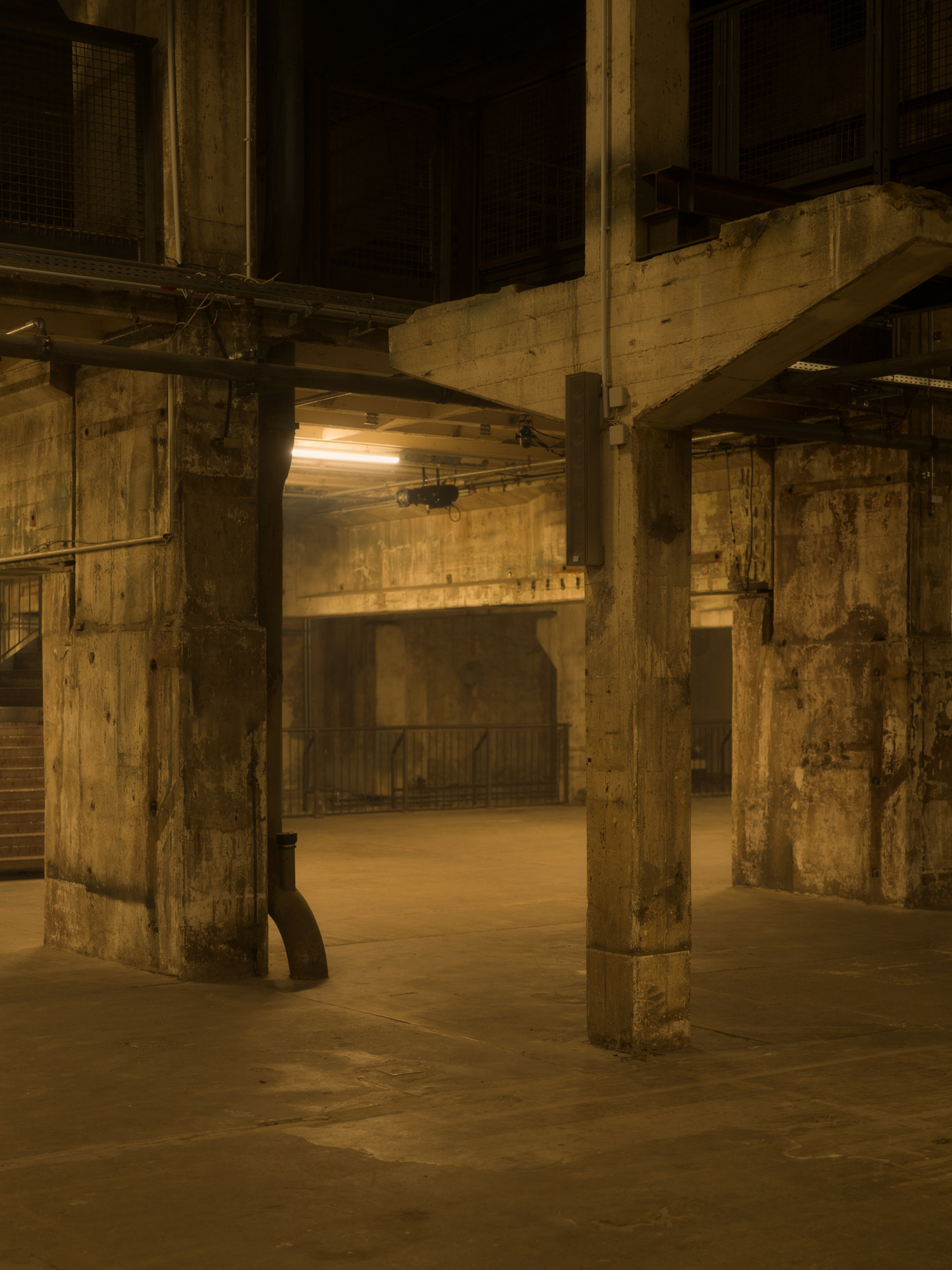 © Alexis Rodríguez Cancino. All Rights Reserved.