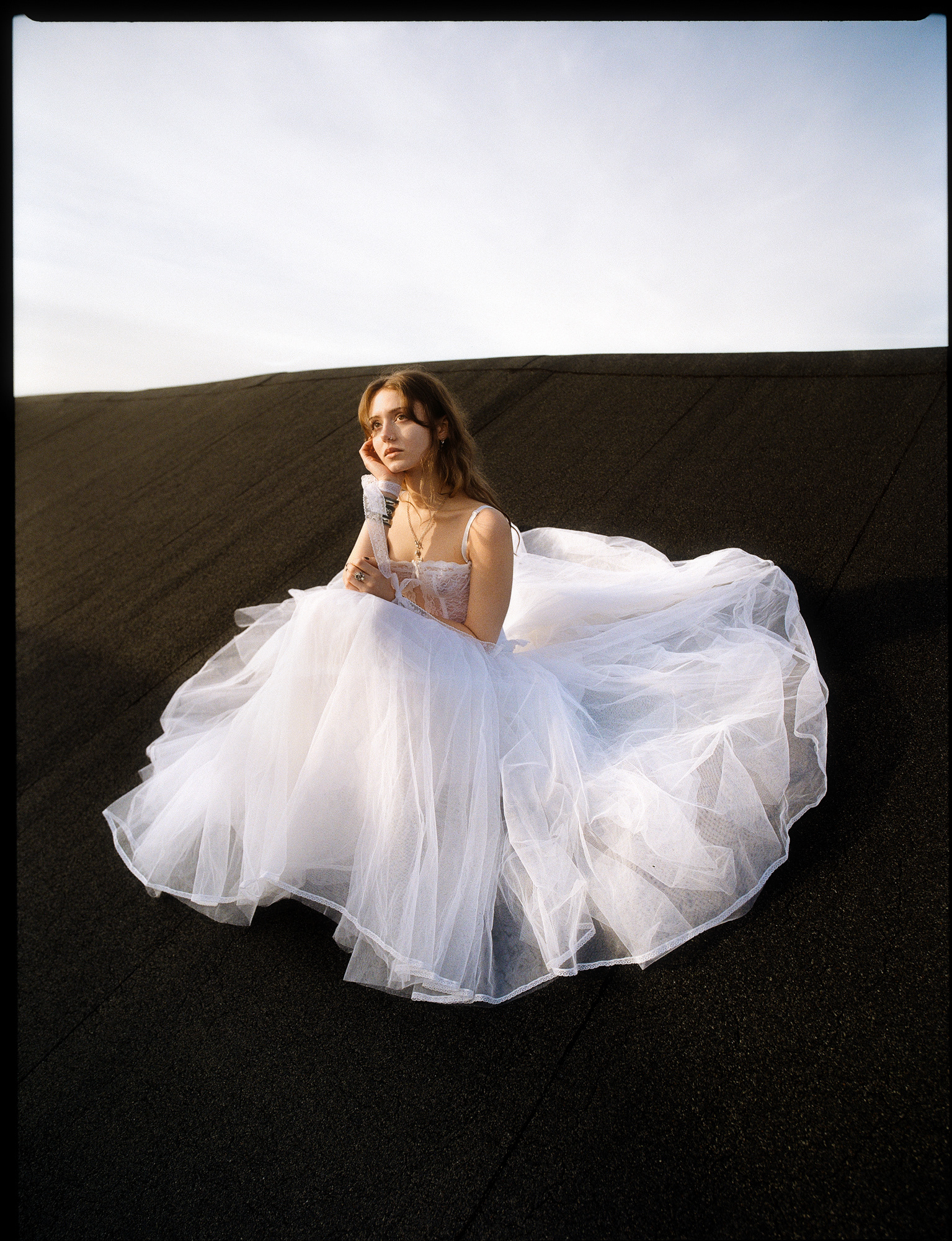 © Alexis Rodríguez Cancino. All Rights Reserved.