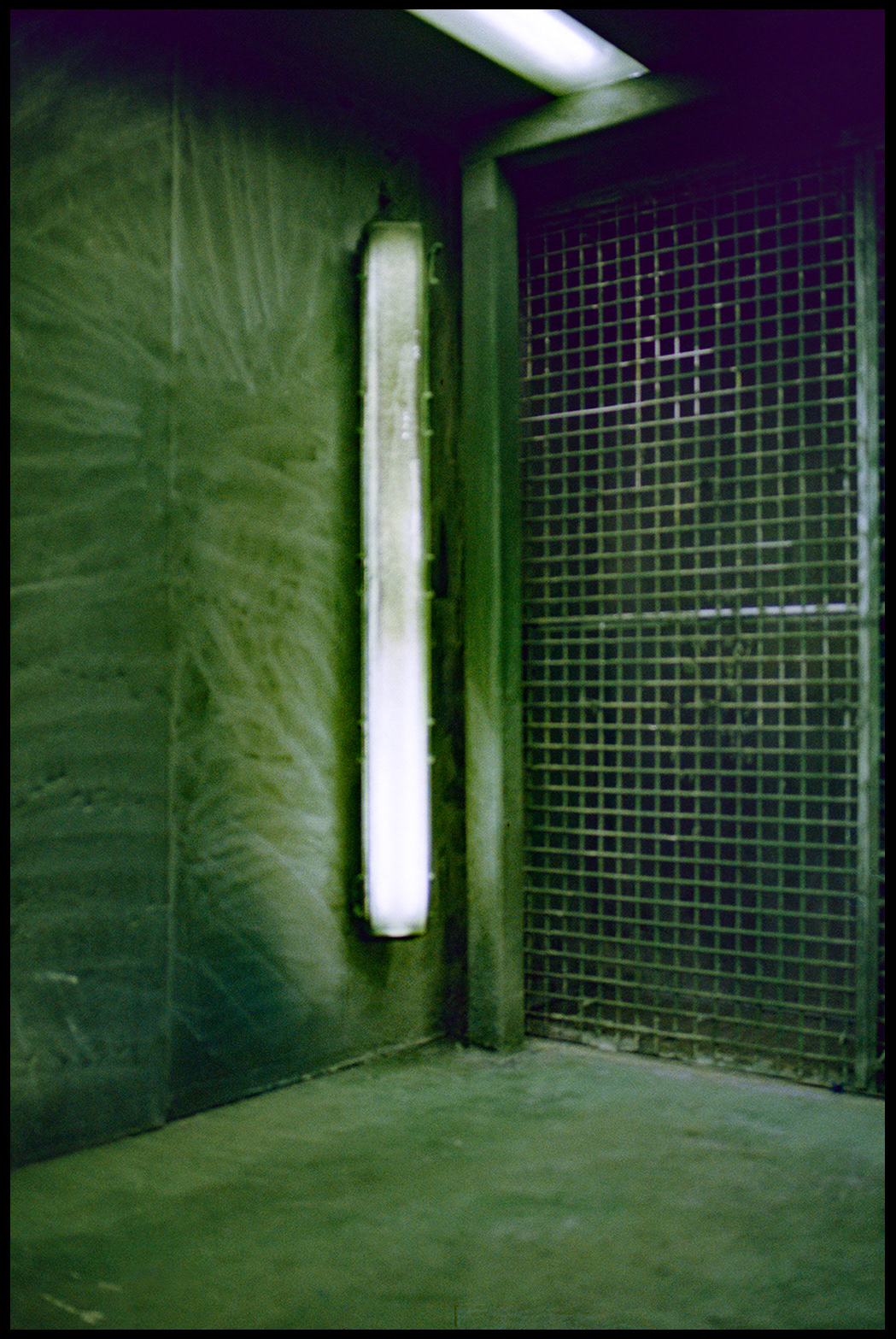 © Alexis Rodríguez Cancino. All Rights Reserved.