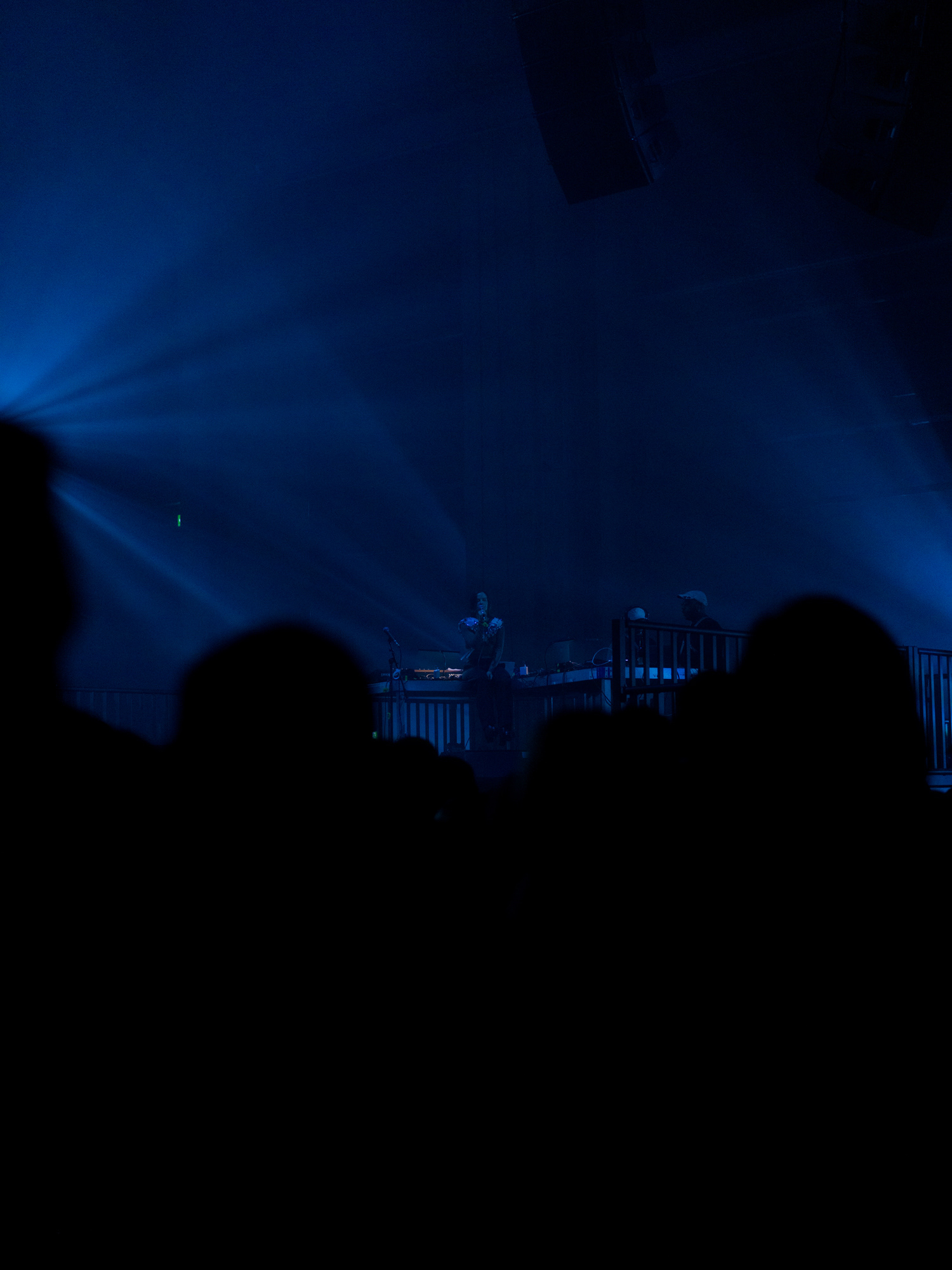 © Alexis Rodríguez Cancino. All Rights Reserved.