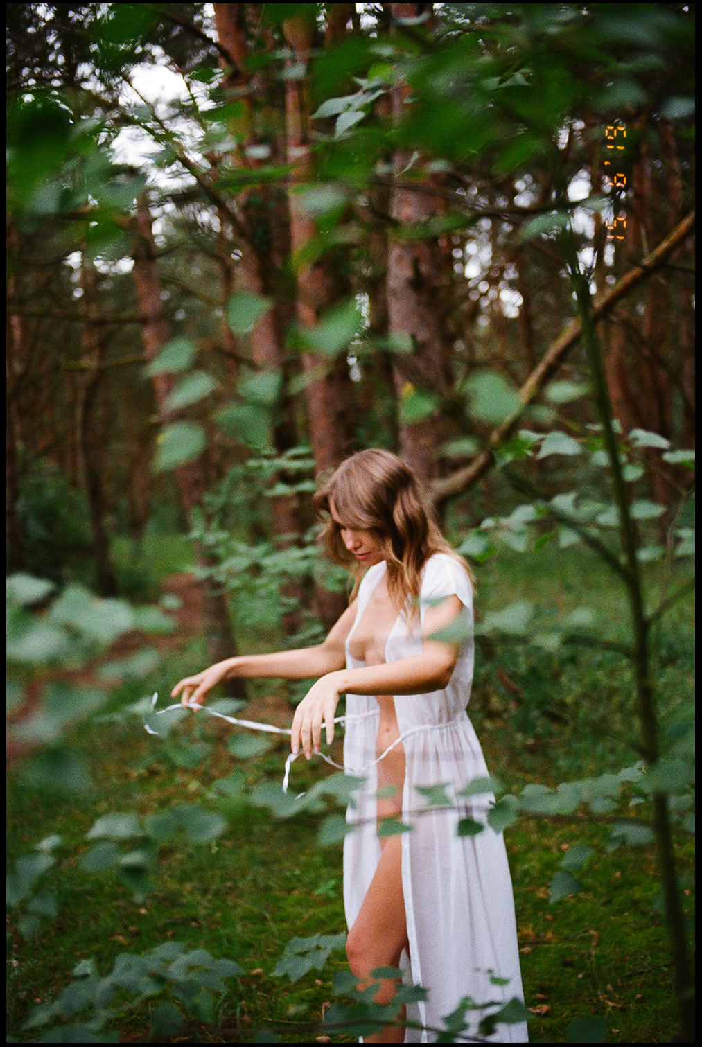 © Alexis Rodríguez Cancino. All Rights Reserved.