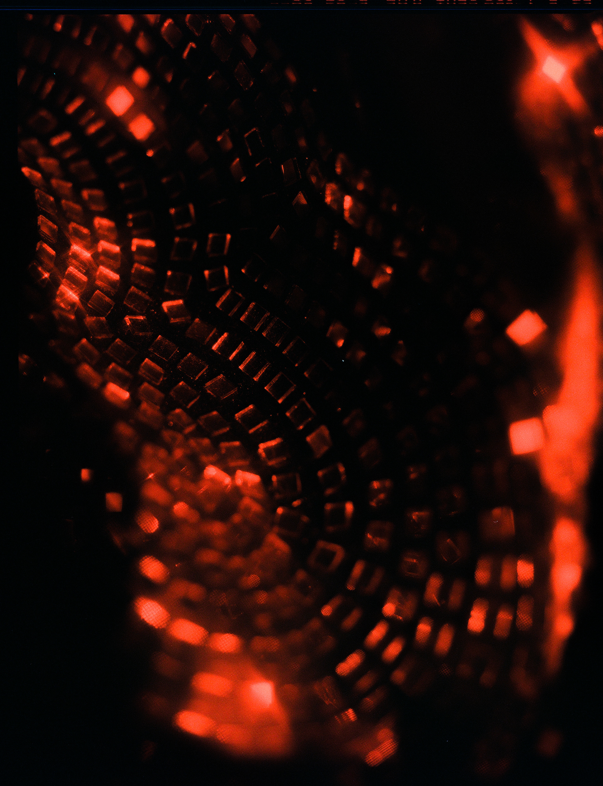 © Alexis Rodríguez Cancino. All Rights Reserved.