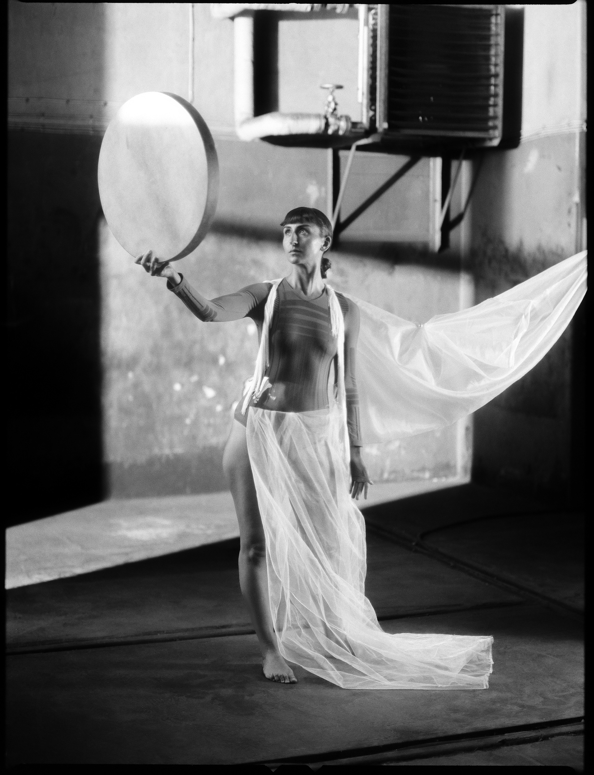 © Alexis Rodríguez Cancino. All Rights Reserved.