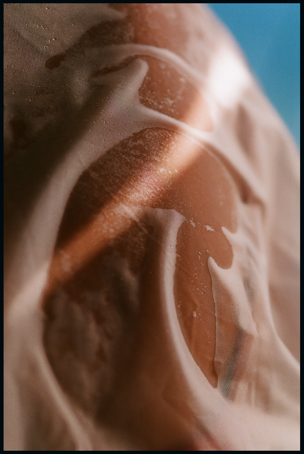 © Alexis Rodríguez Cancino. All Rights Reserved.