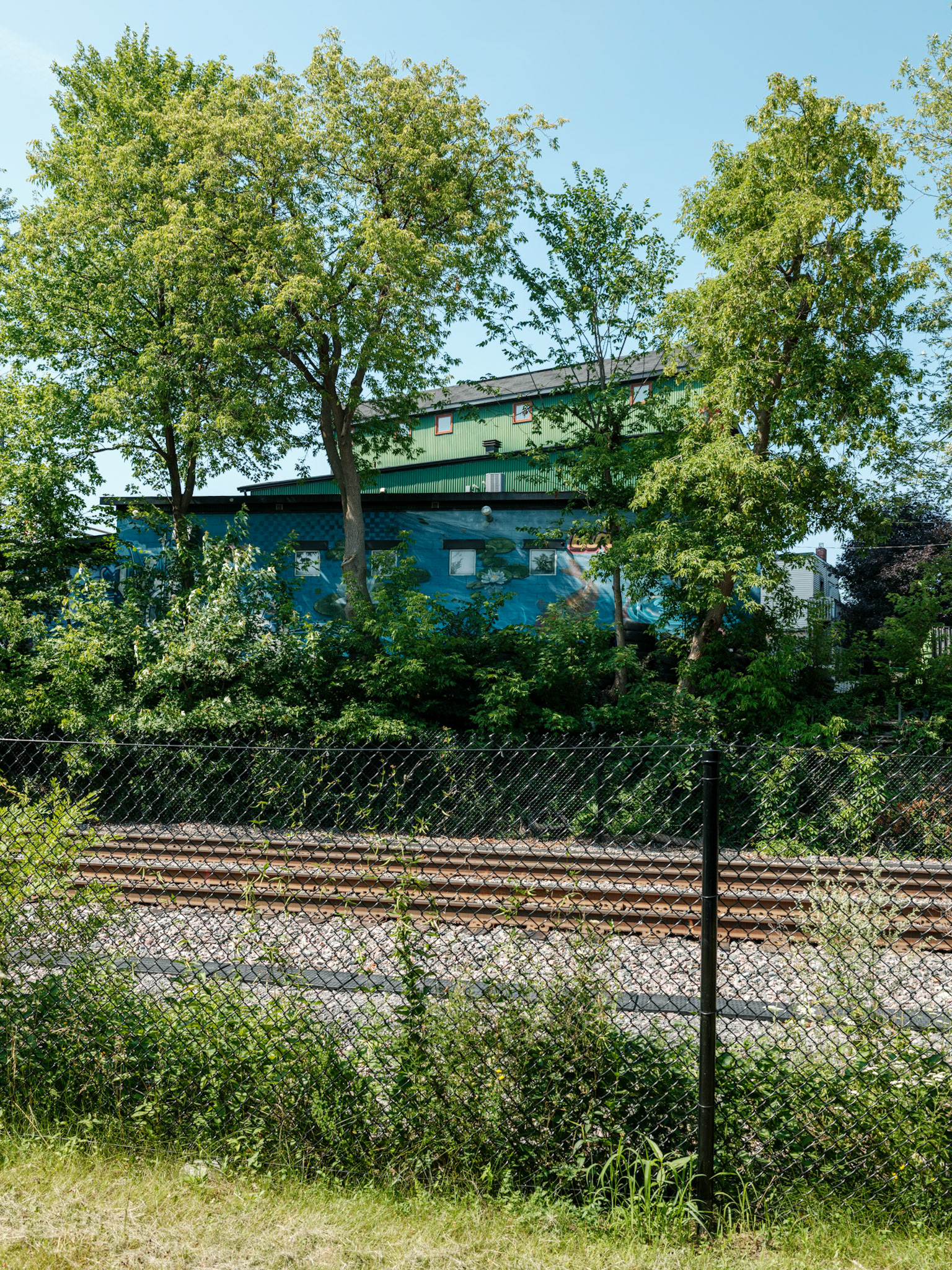 This is a title and only a title