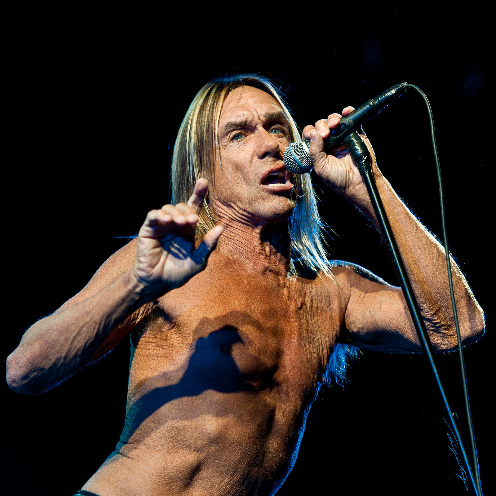 Iggy Pop