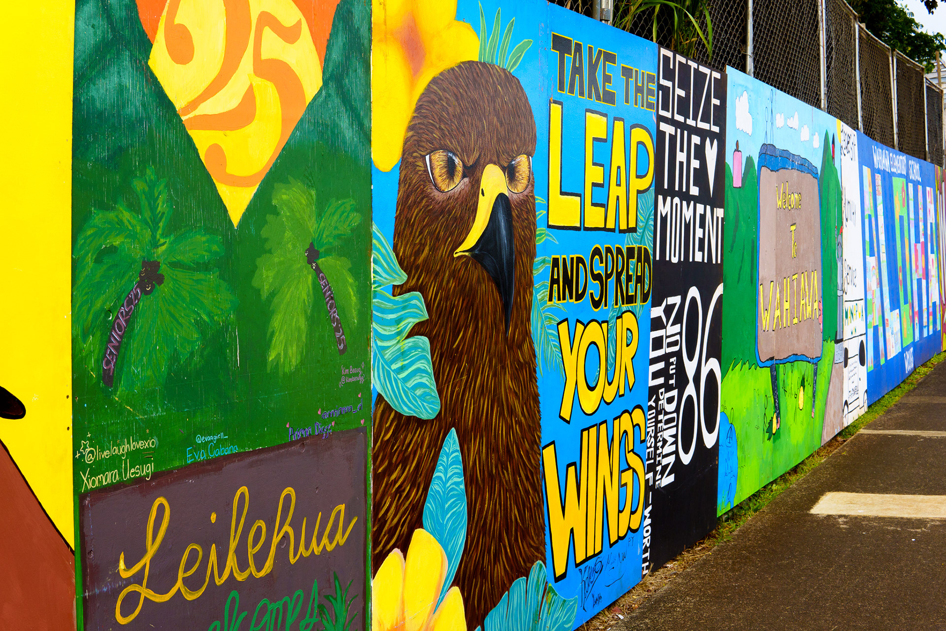Wisdom takes flight—bold colors, bold moves. Spread your wings.