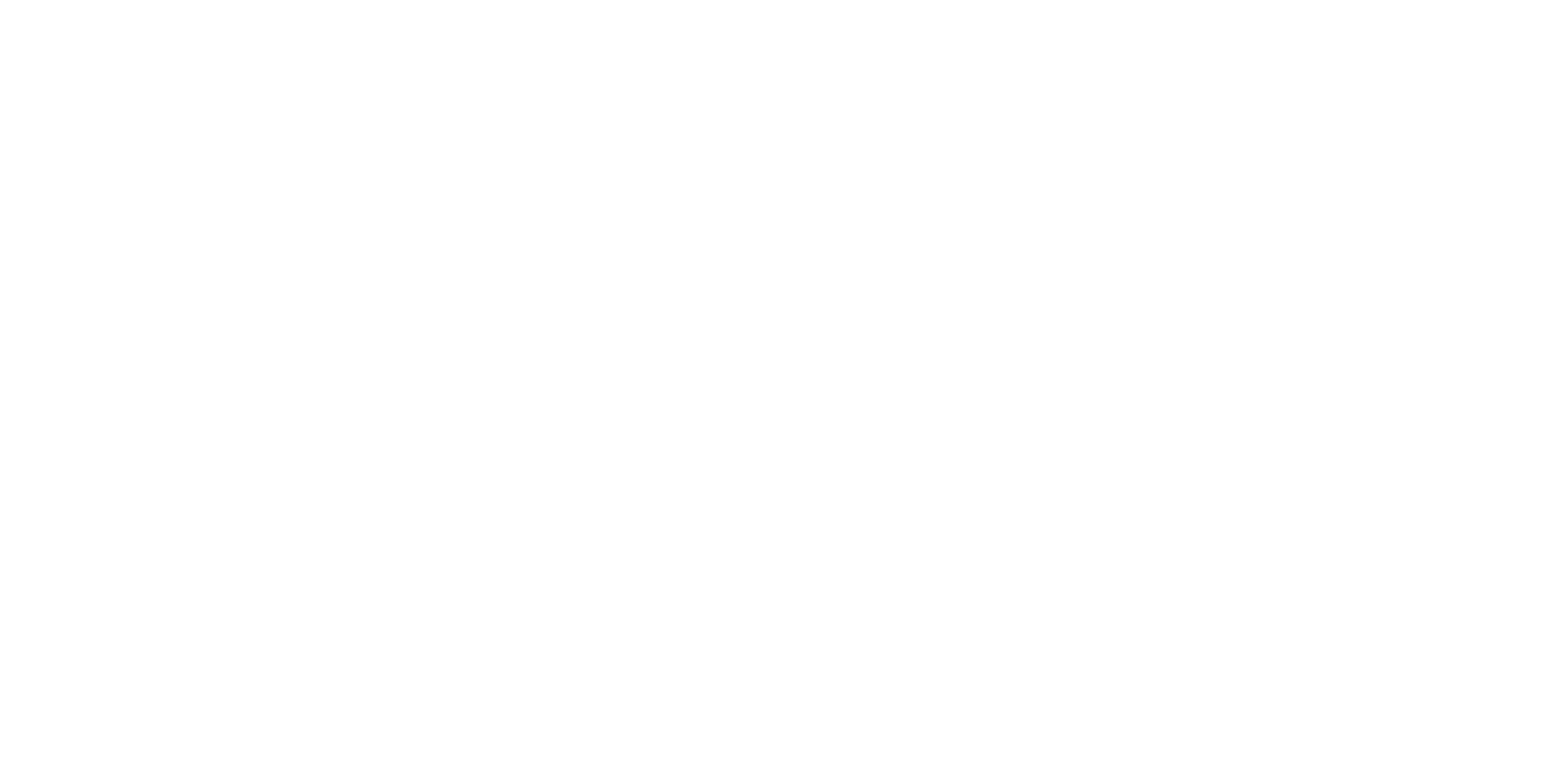 Praymen Electric