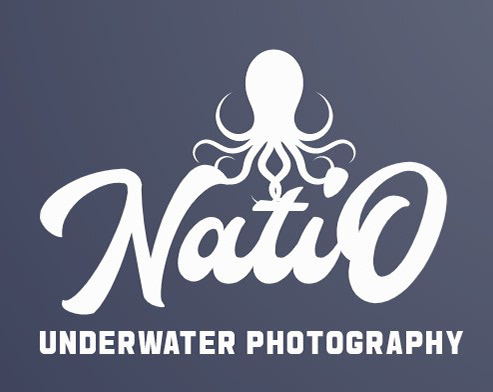 NatiO Underwater Photography