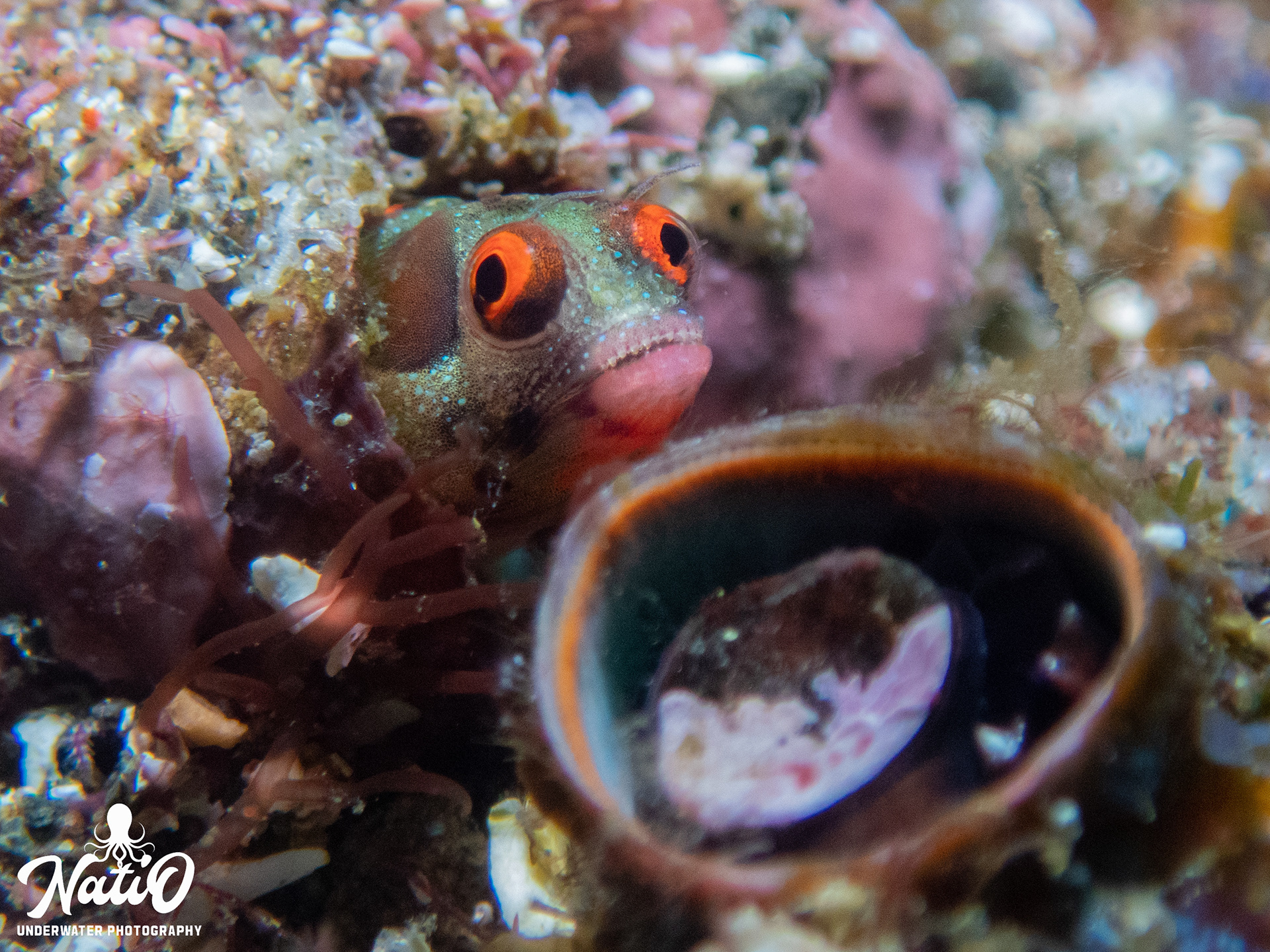 Guanacaste, Mar 2023