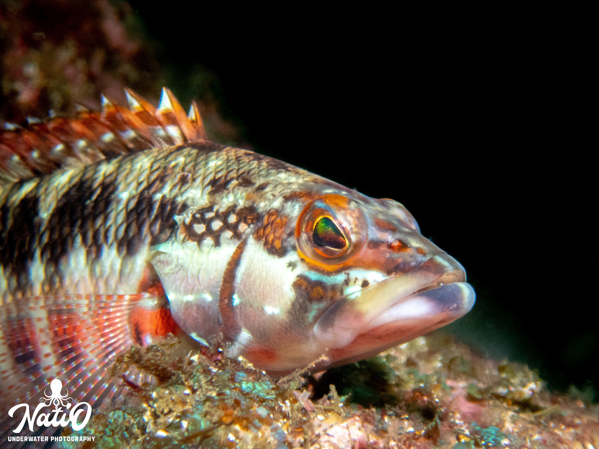 Guanacaste Mar 2023