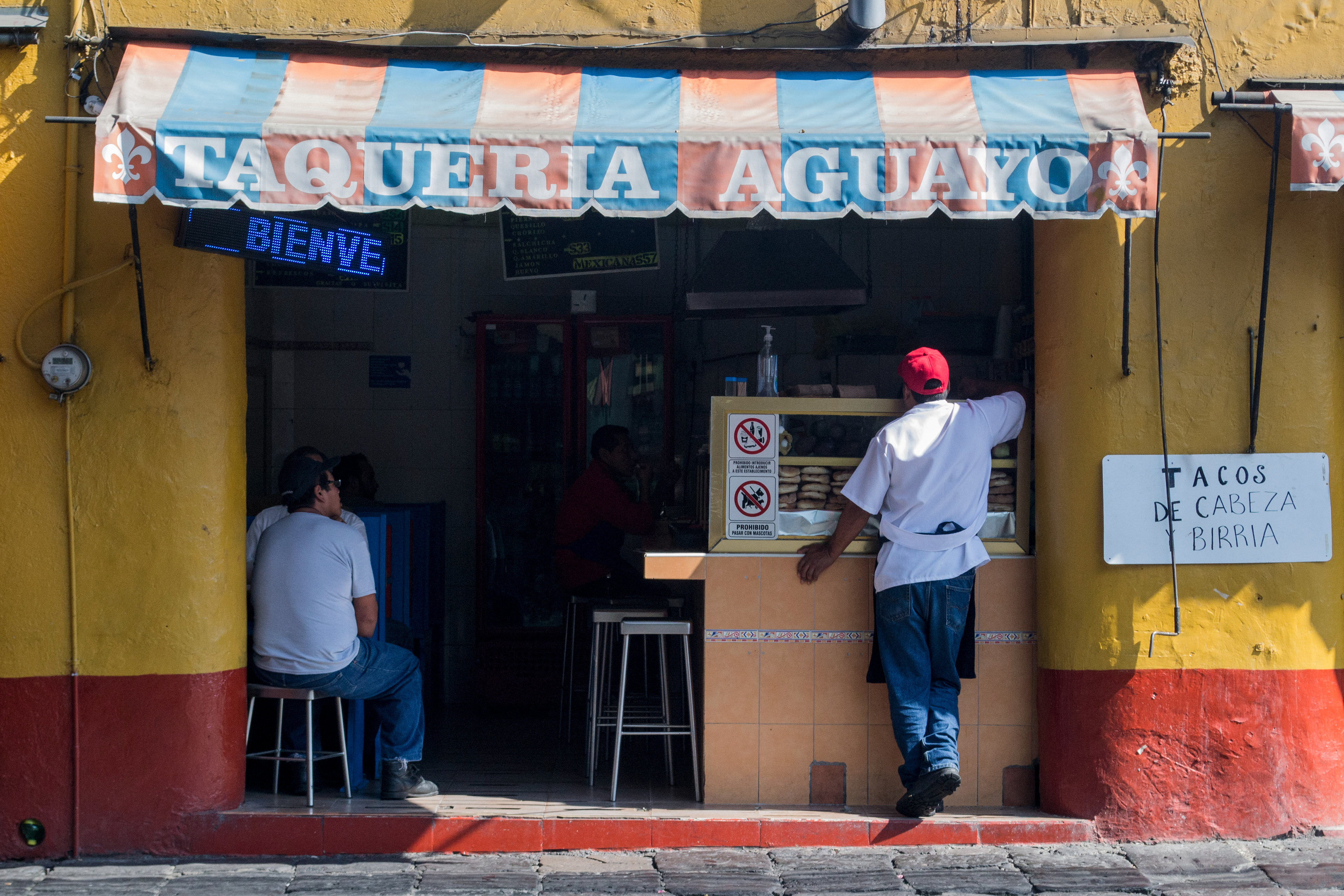 Tacos de cabeza, 2019