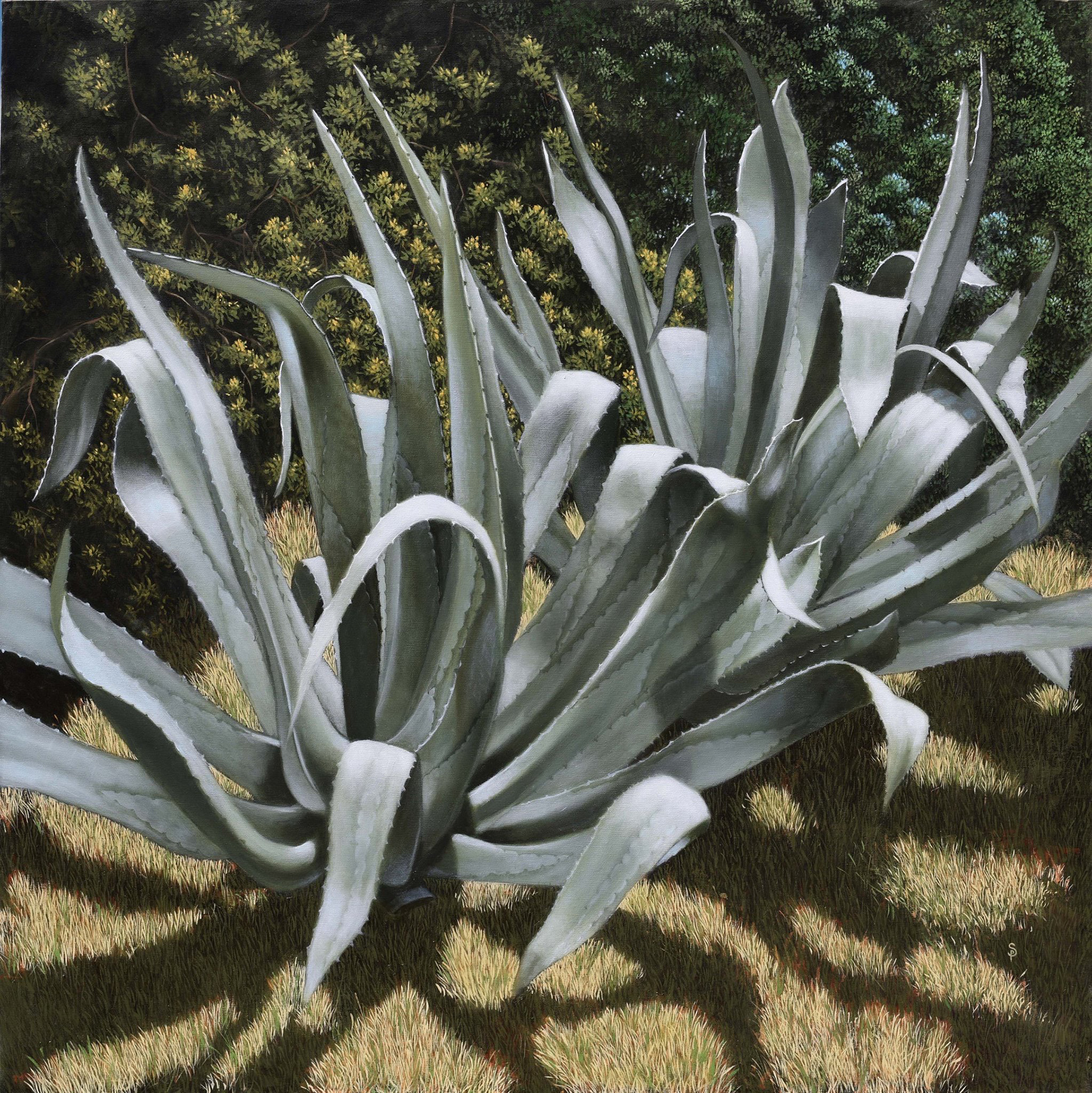 The Secret Garden 100 x 100 cm